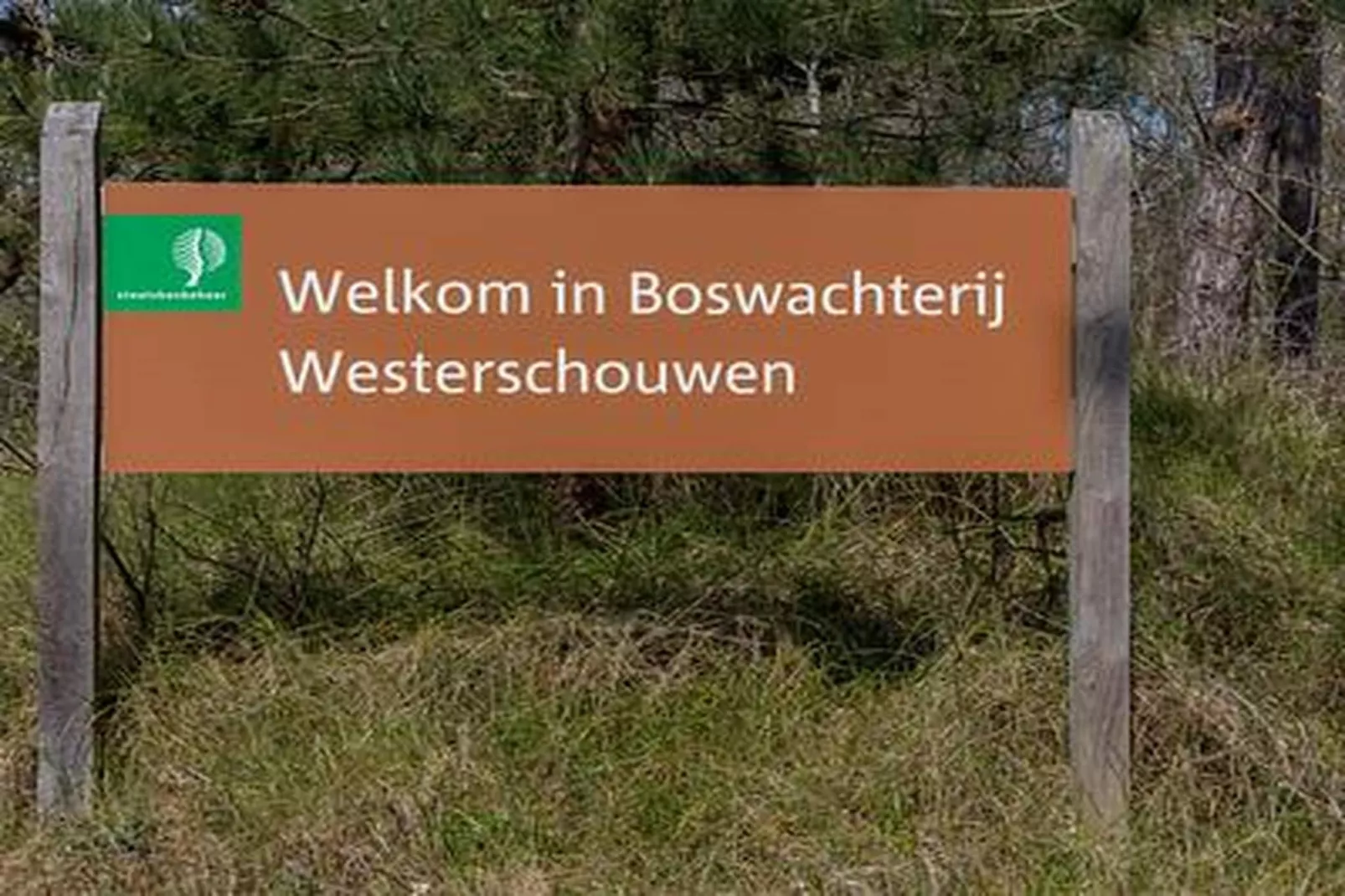 Duinhoeve Chalet Vogel - Huisdier niet toegestaan - Sfeer