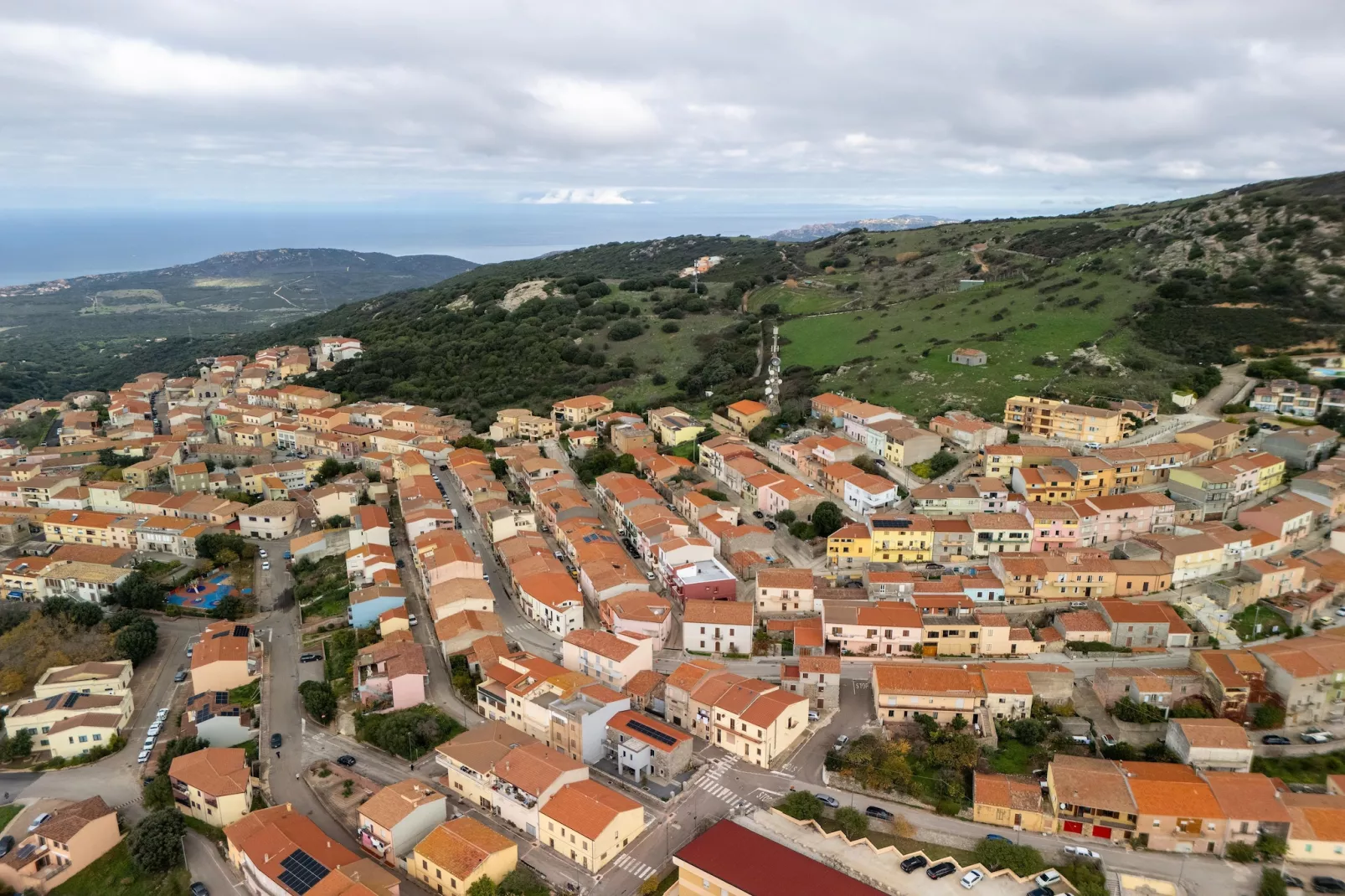 TRINITA' 3 - Gebieden zomer 1km
