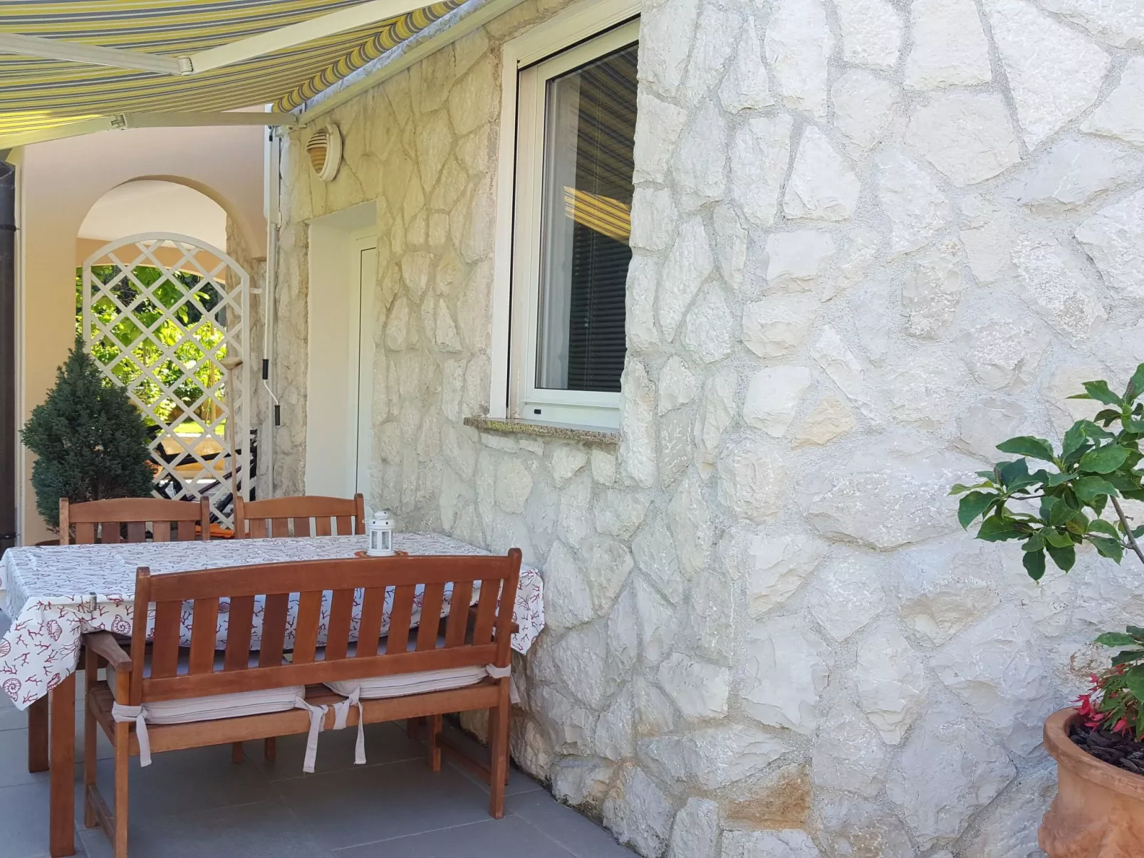 Ginkgo 3 - Image-tags.info