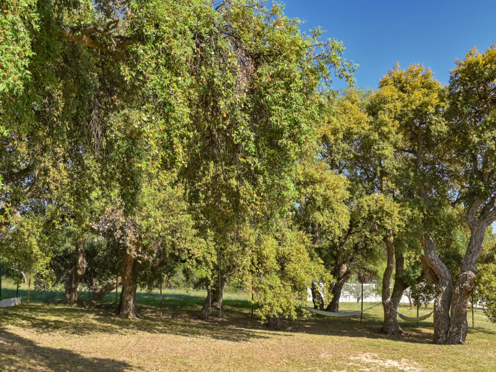 Montevernal - Buiten