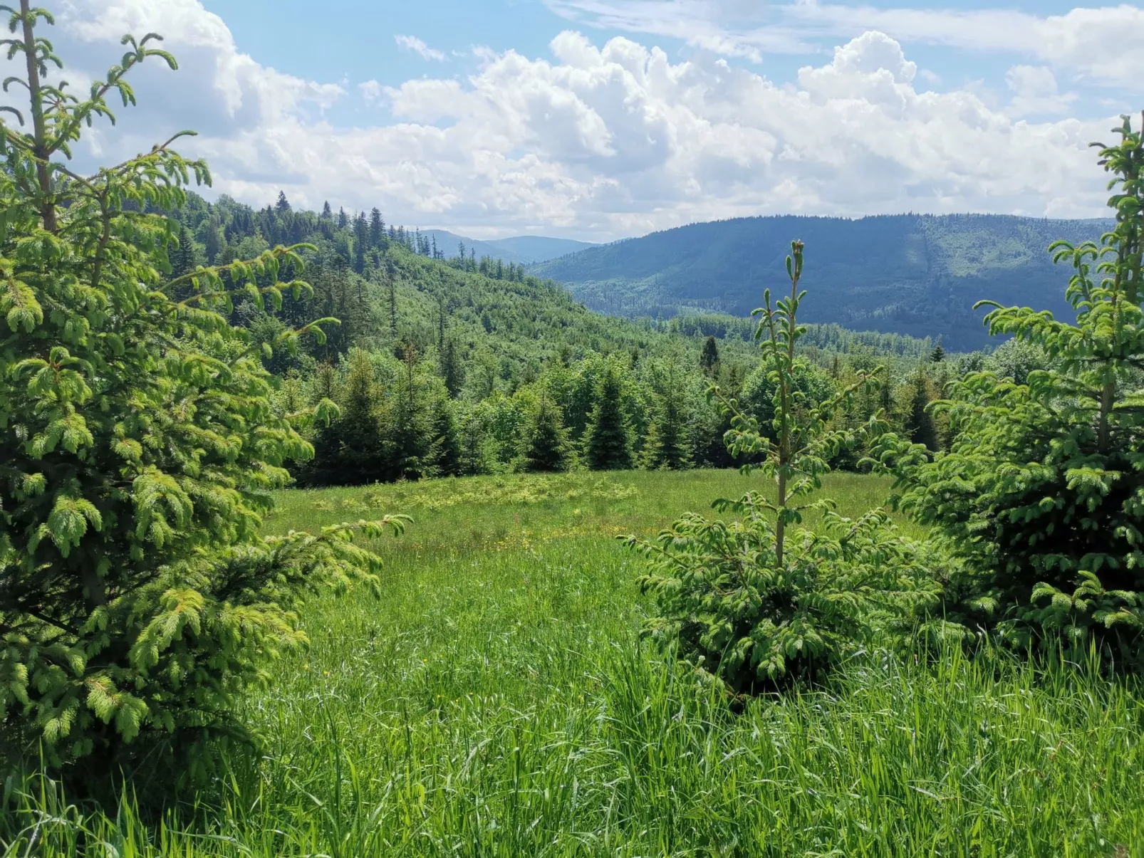 In den Bergen, Villa mit Panoramaterrasse - Buiten