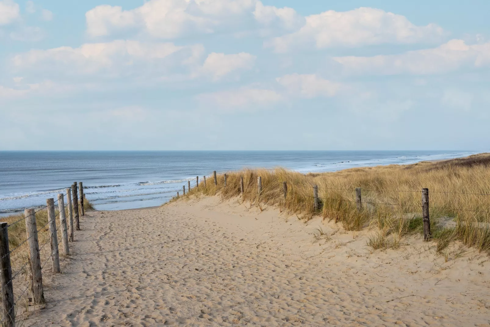 De Zilvermeeuw - Gebieden zomer 5km
