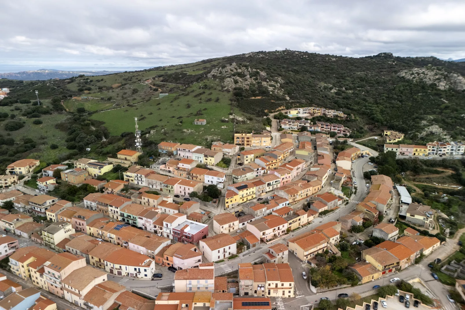 TRINITA' 3 - Gebieden zomer 1km