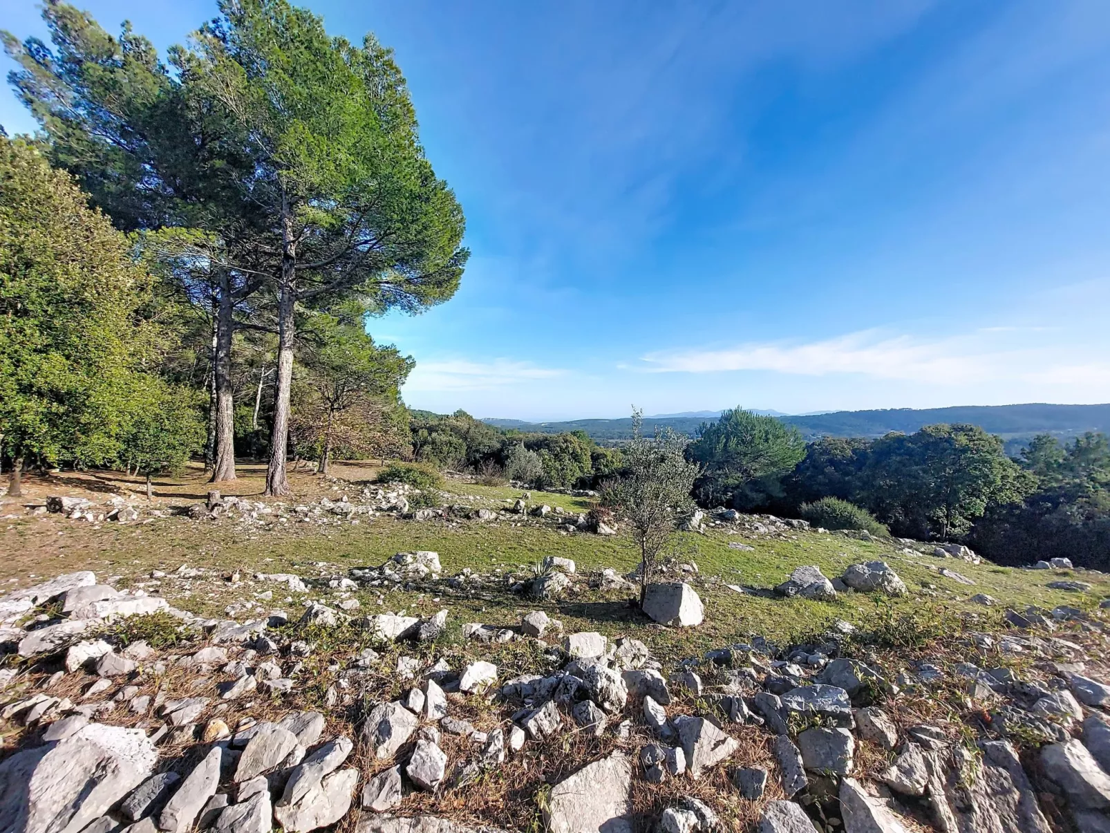 Nature Chez Michel - Buiten
