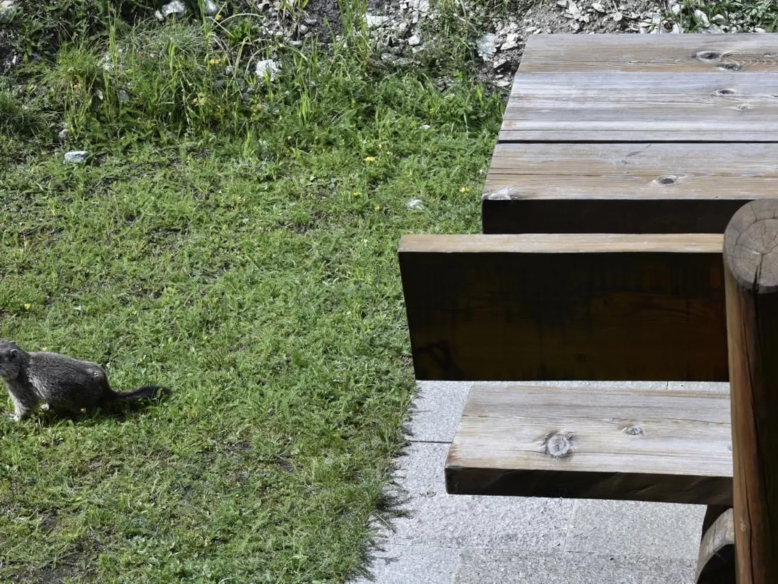 Chalet Le Murmure du Torrent - Buiten