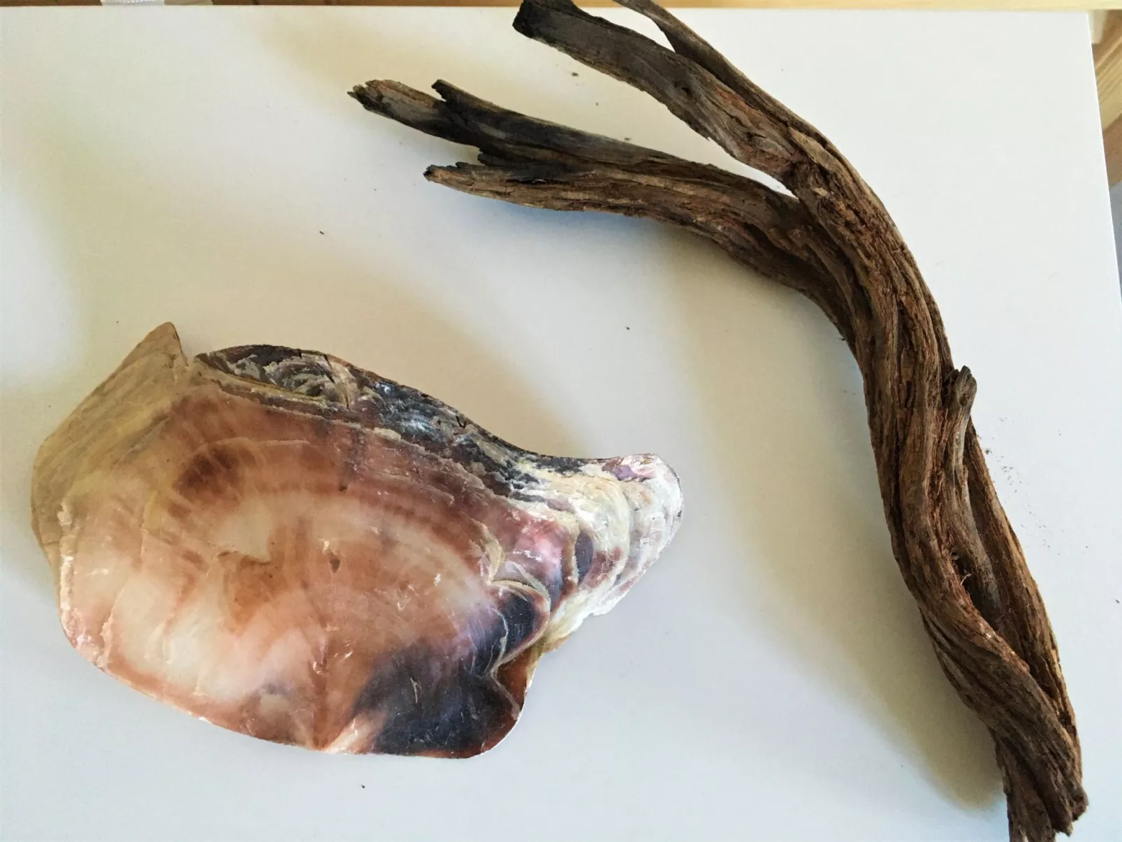 Fischerhus LüttHauke - Binnen