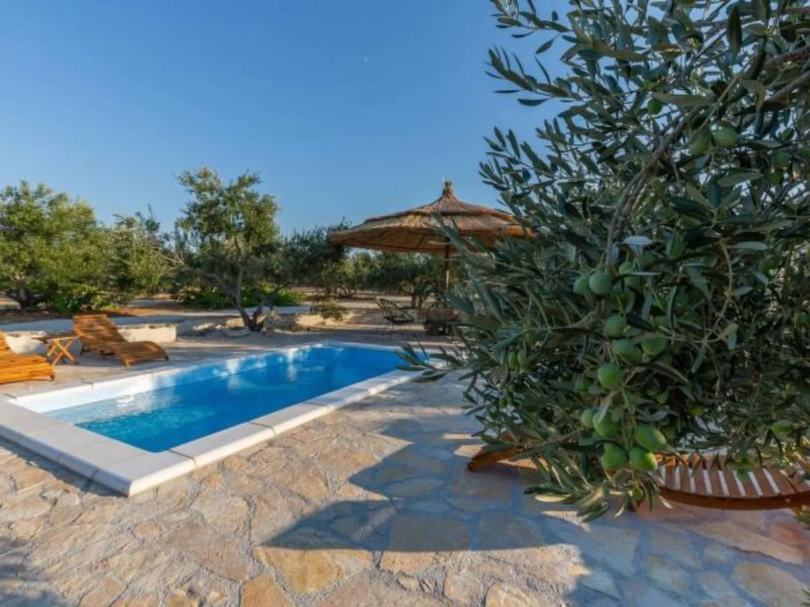 Eco Villa Solus with pool - Image-tags.info