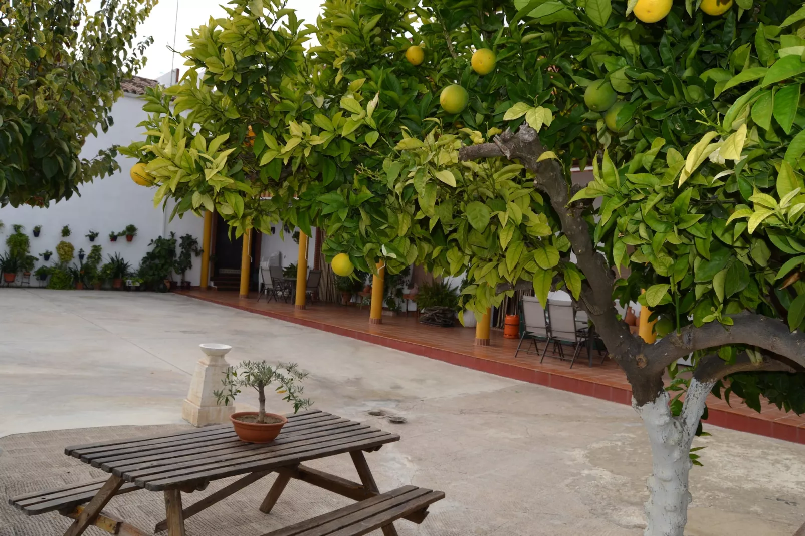 El Pintao ó La Corneja - Sfeer