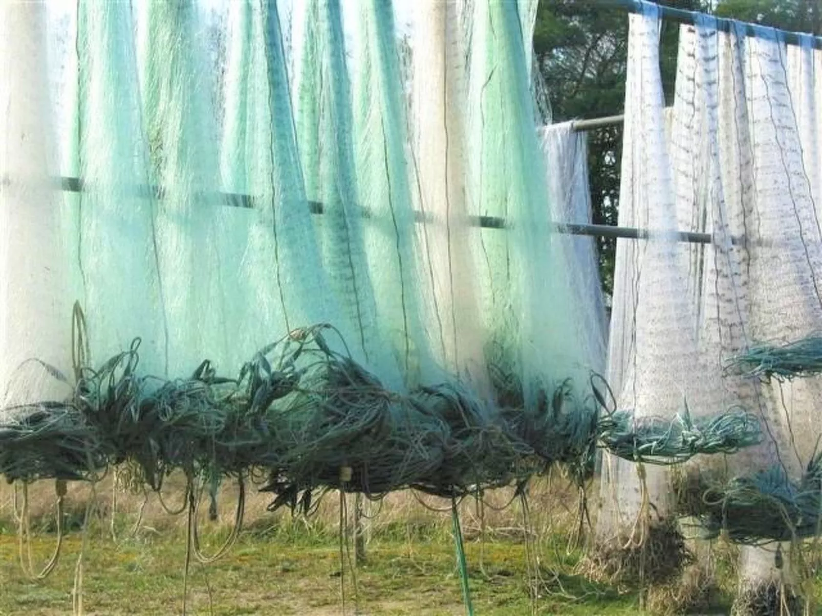 FH Godewind***** 45 - Image-tags.info