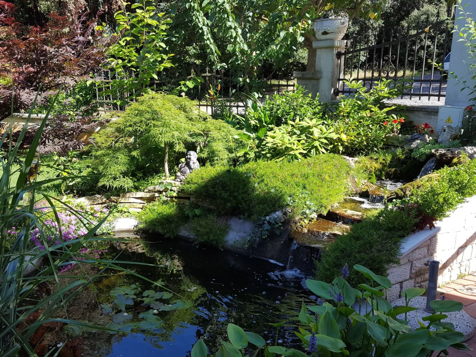 Ginkgo 3 - Image-tags.info