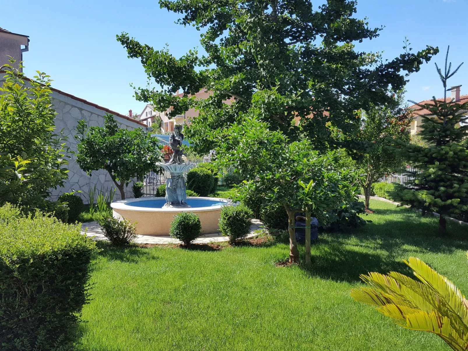 Ginkgo 3 - Image-tags.info