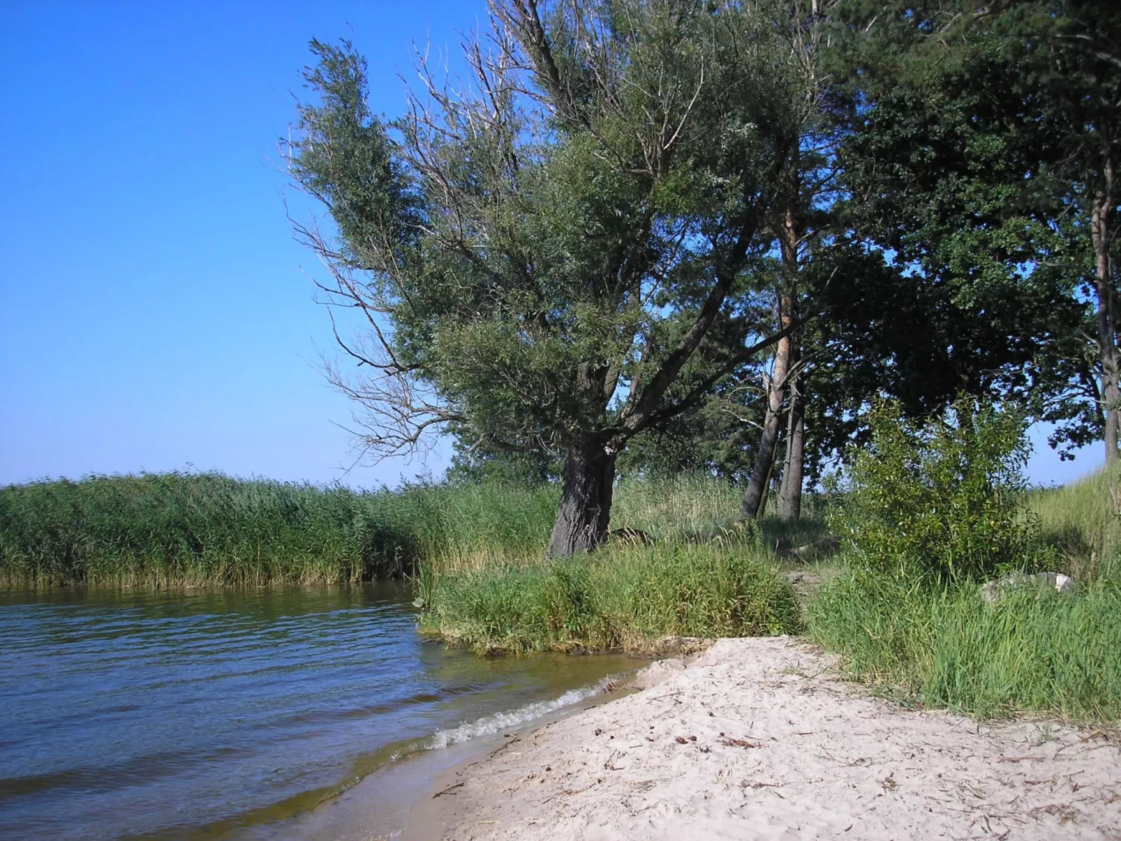 FH Godewind***** 45 - Buiten