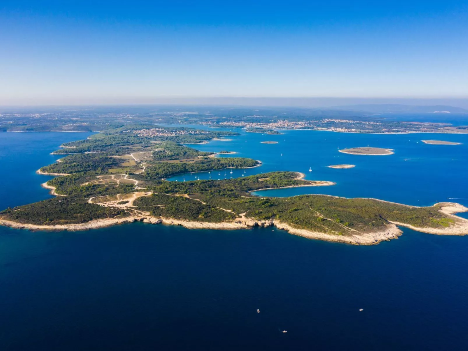 Ginkgo 1 - Image-tags.info