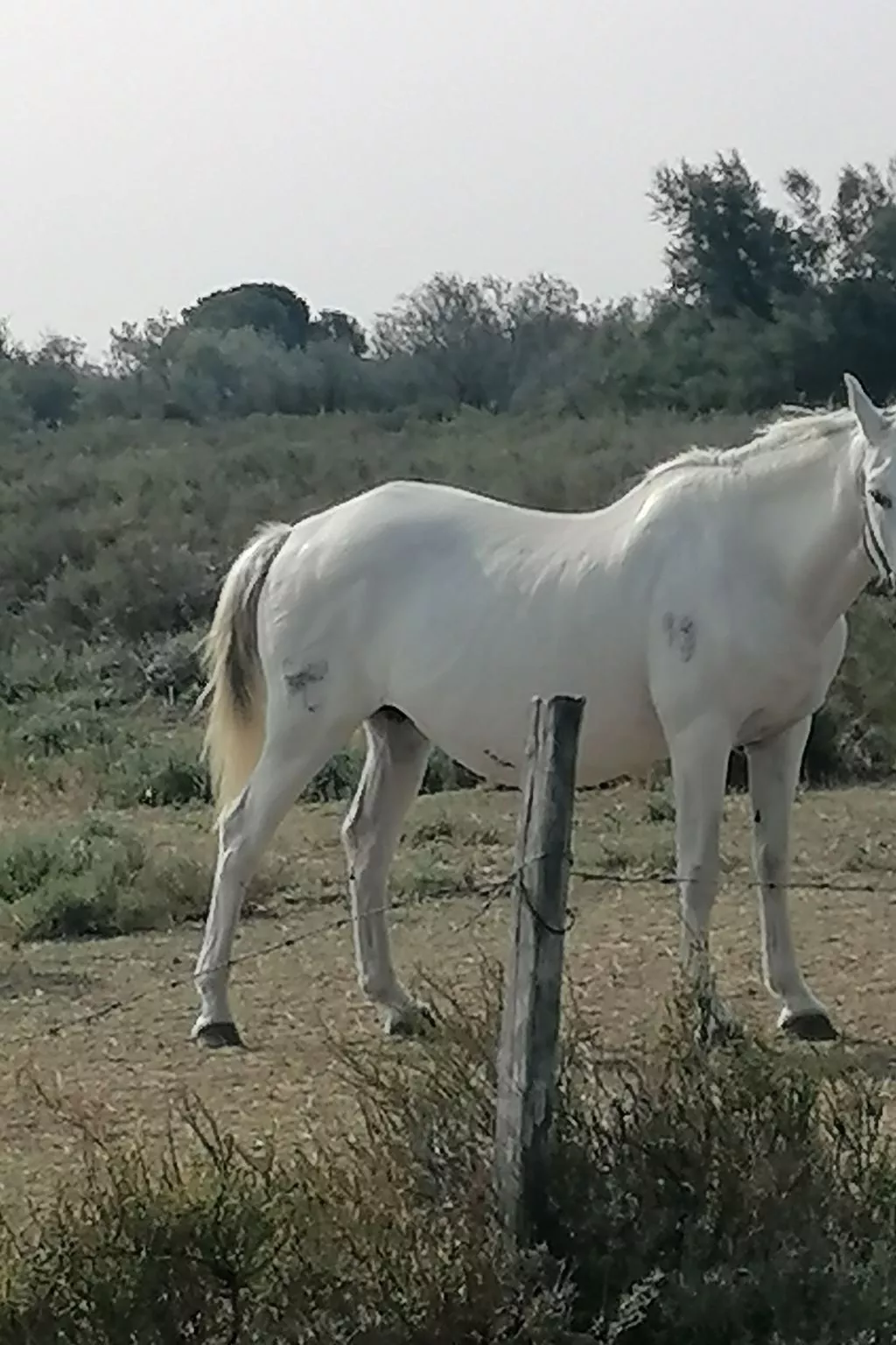 Maison Bleu - Image-tags.info