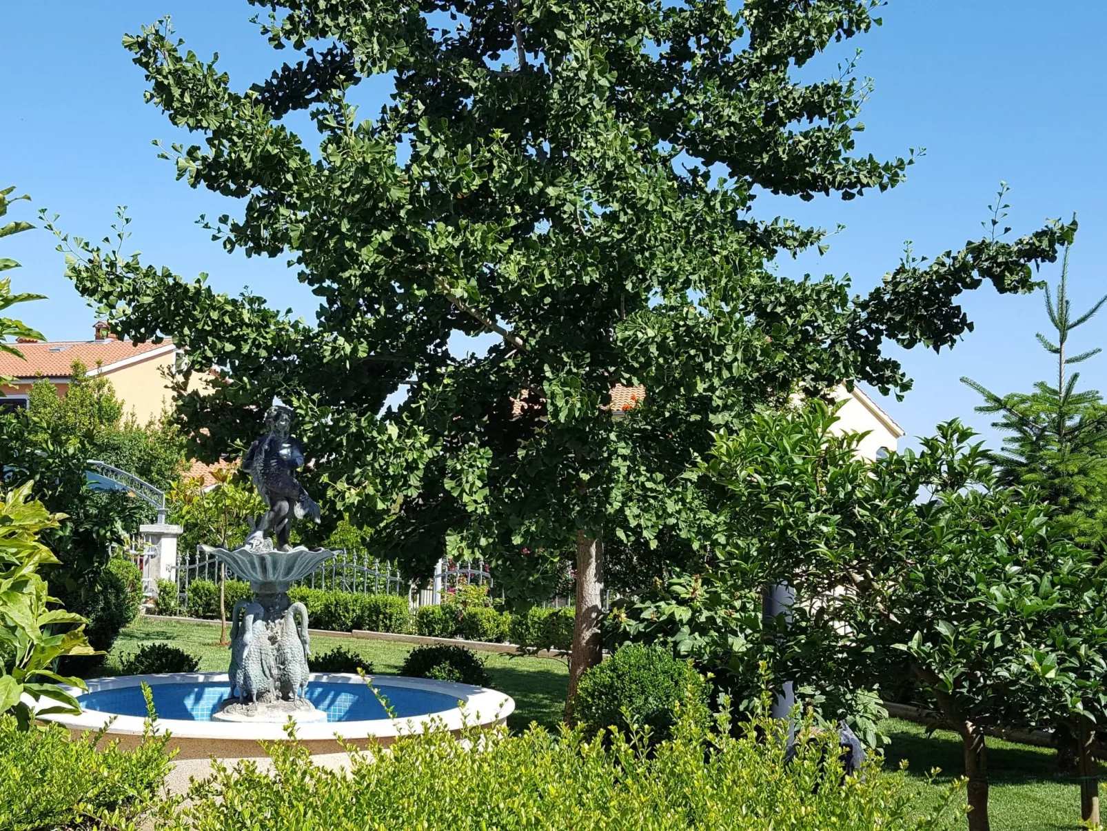 Ginkgo 3 - Image-tags.info