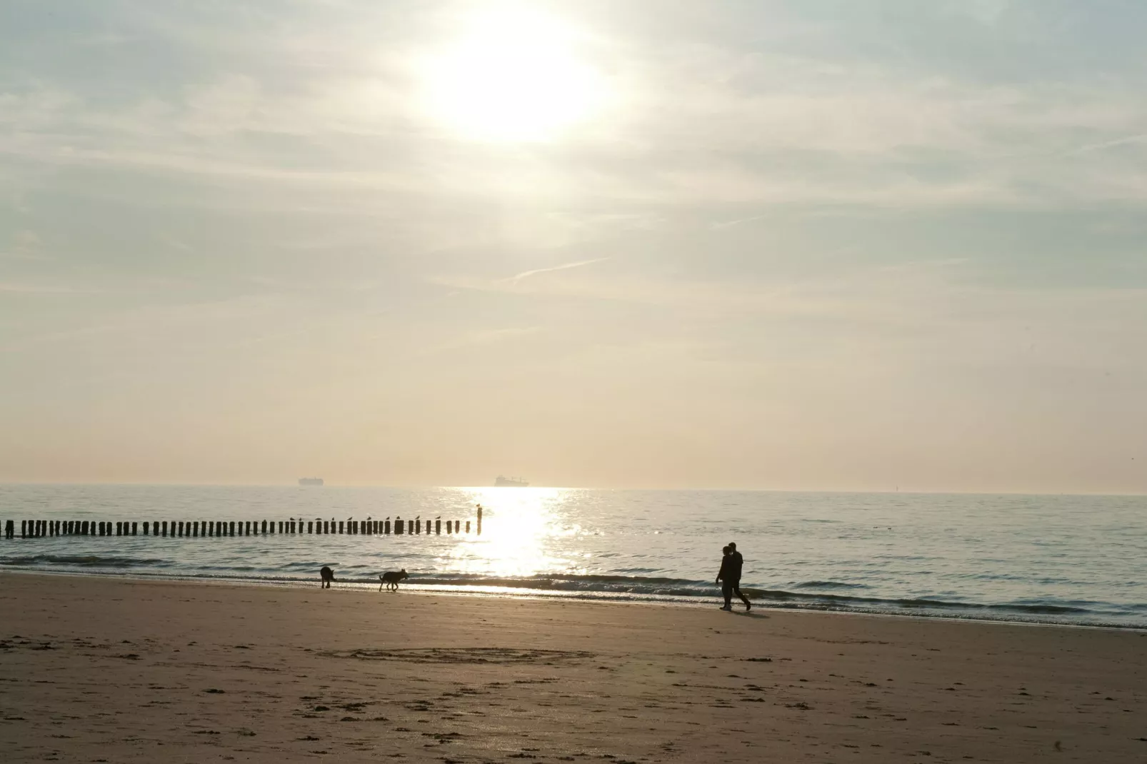 Noordzee Residence Cadzand-Bad 29-Gebieden zomer 1km