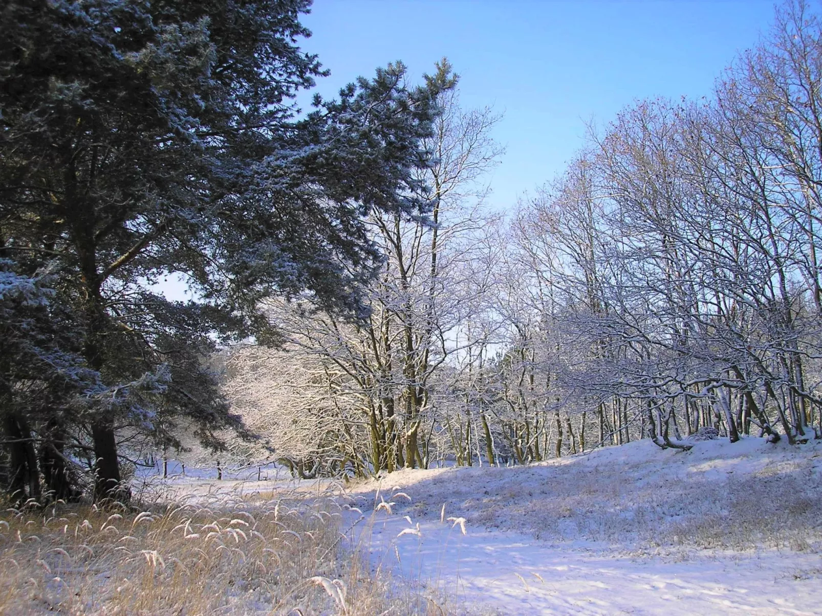 FH Godewind***** 45 - Buiten