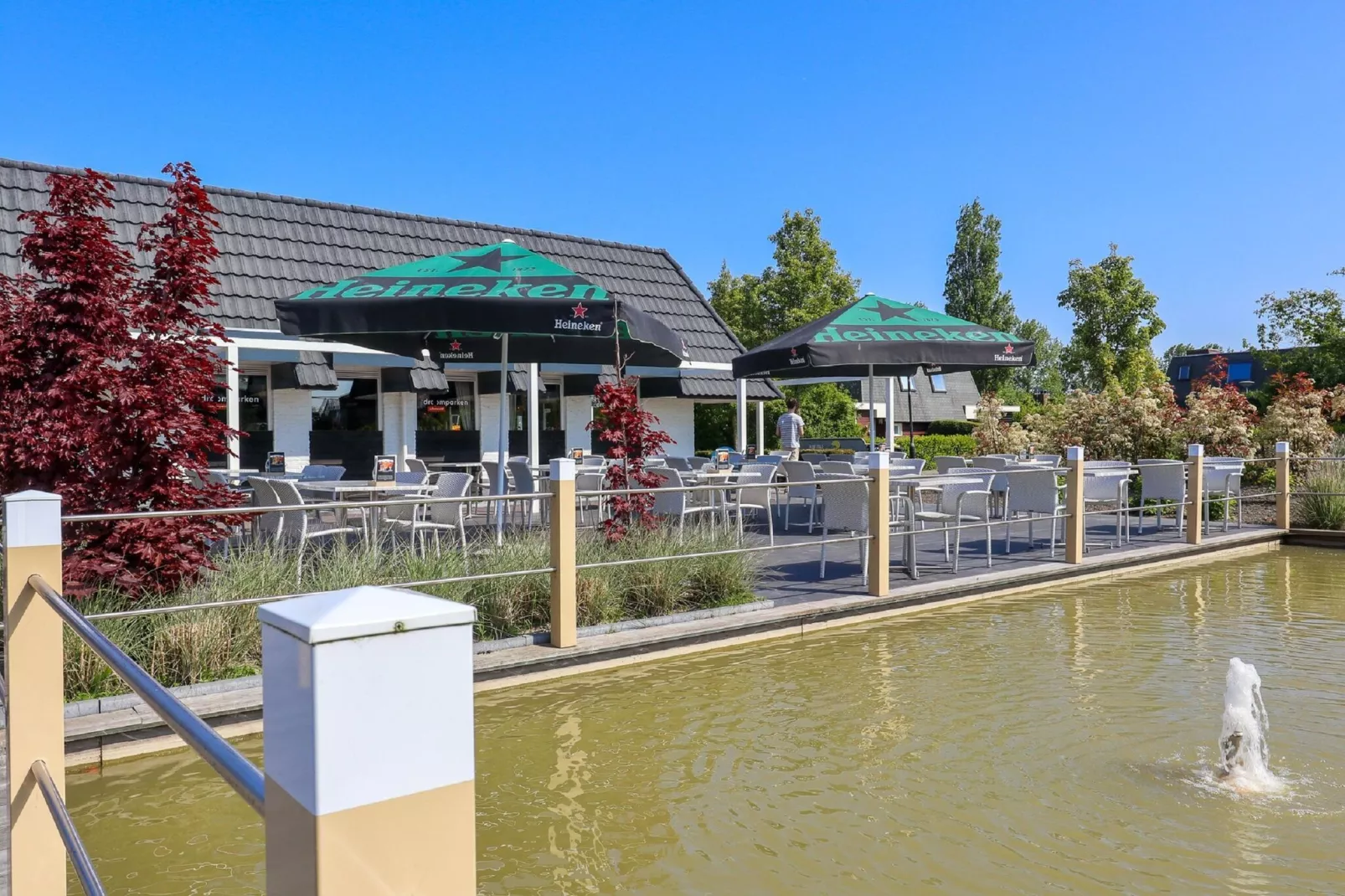 Resort Schoneveld 7-Parkfaciliteiten