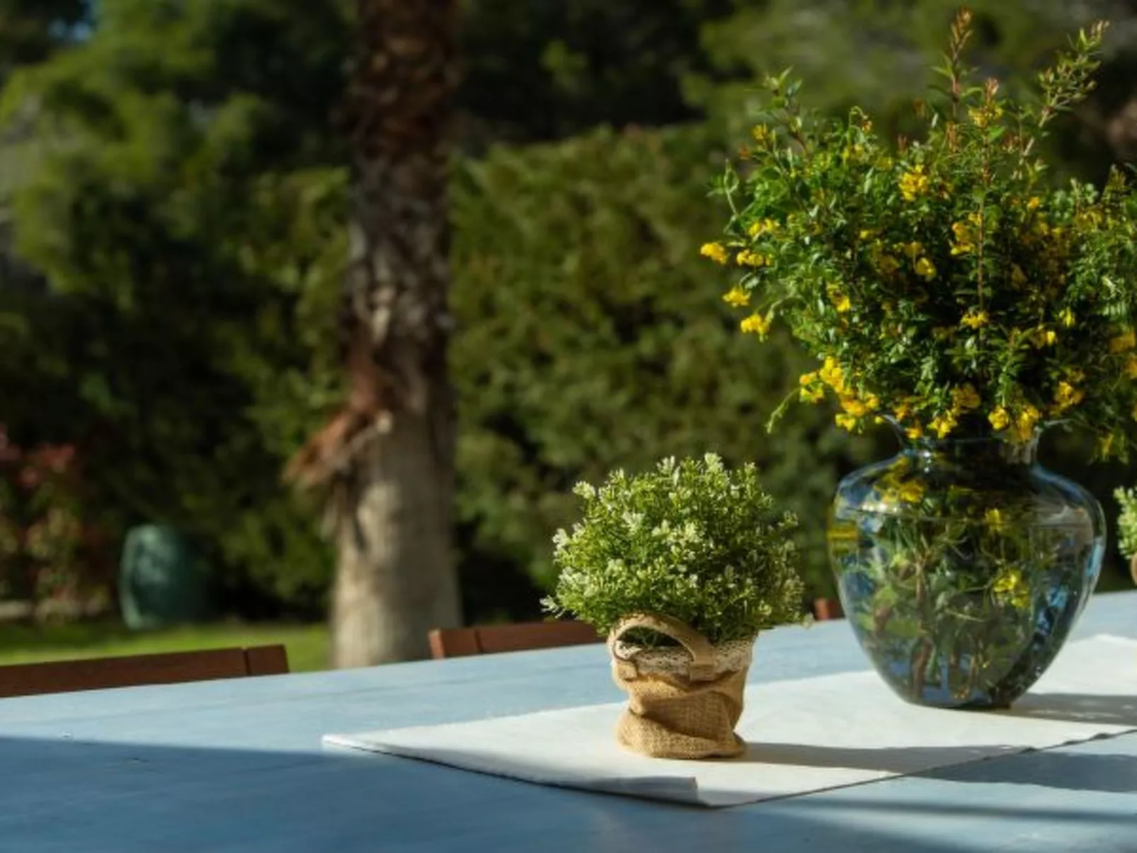 Villa Barotul with pool - Image-tags.info