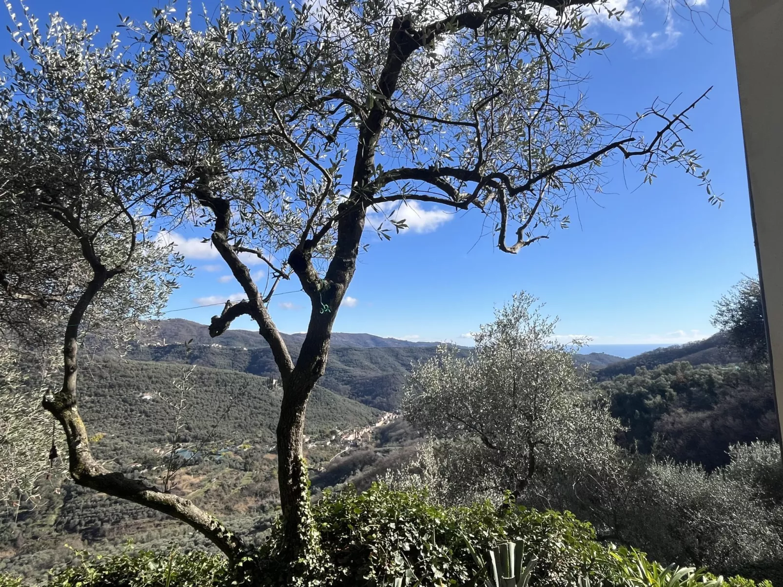 Giglio (VLO205) - Omgeving