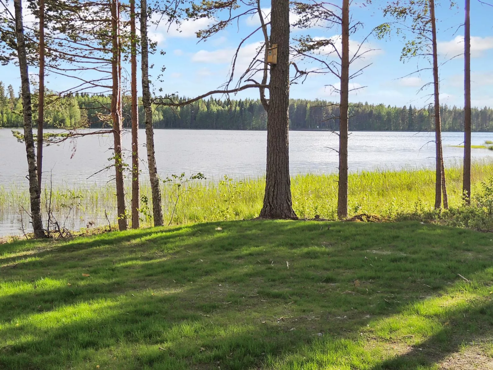 Nesterin helmi - Binnen