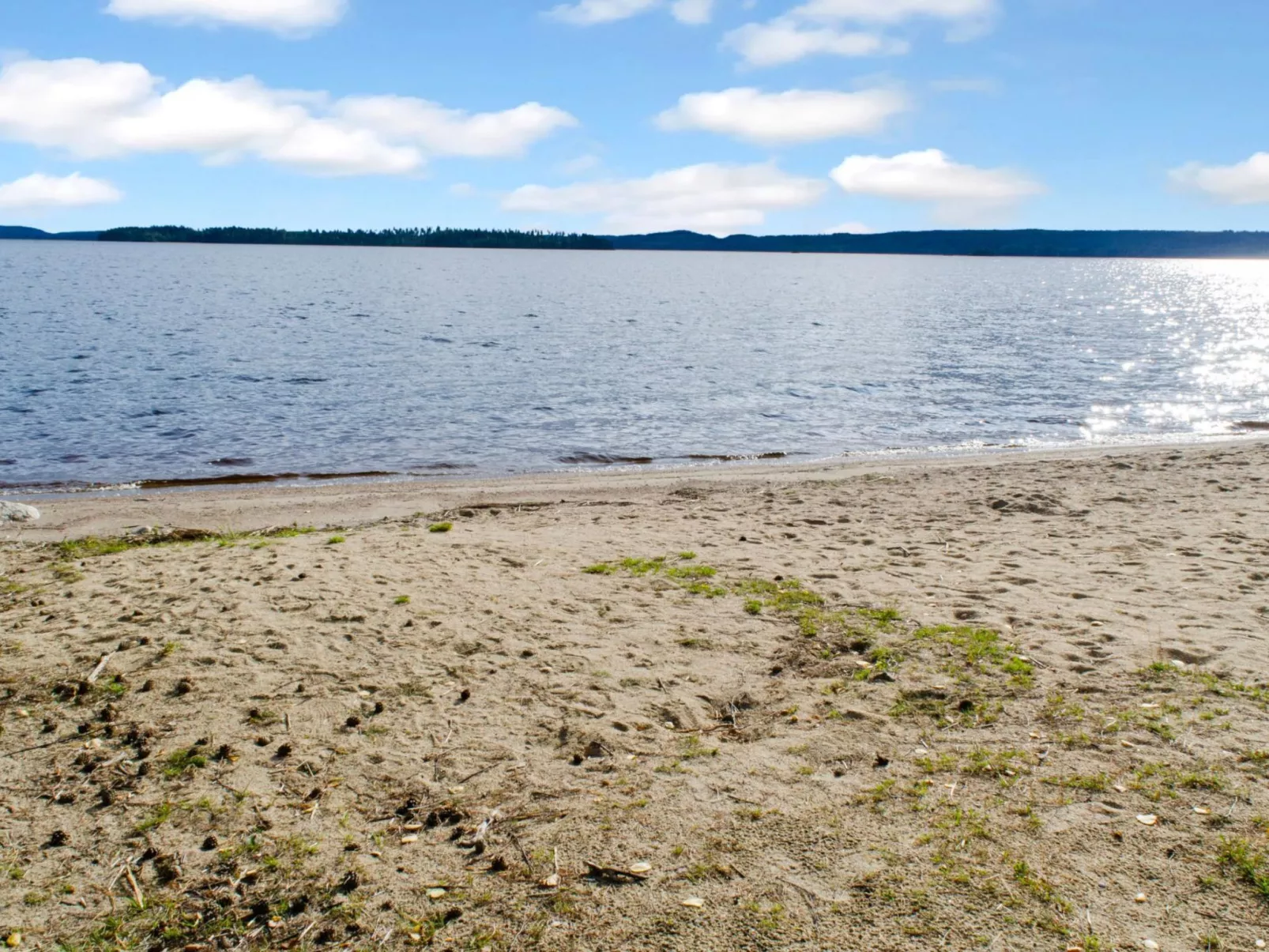 Kulta-käkönen 17 by bomba - Binnen