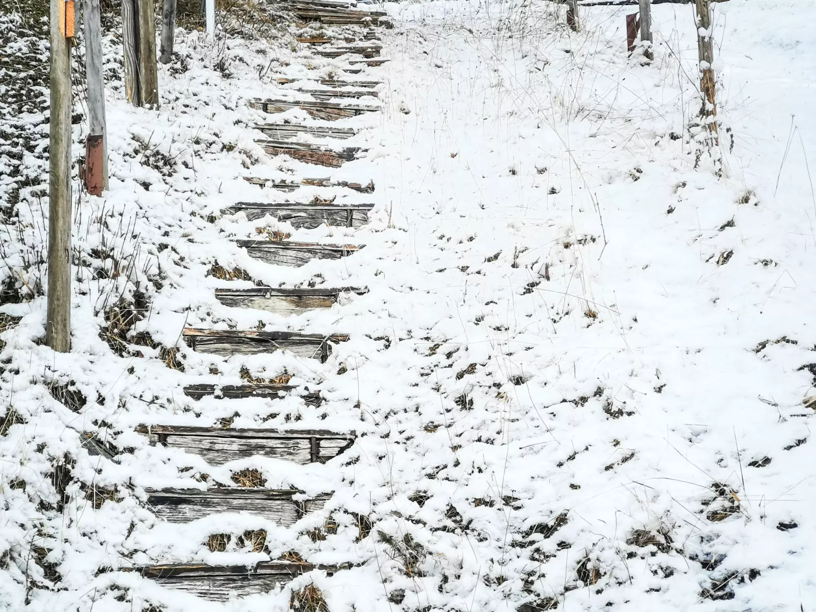 Adlerhorst Großglockner - Buiten