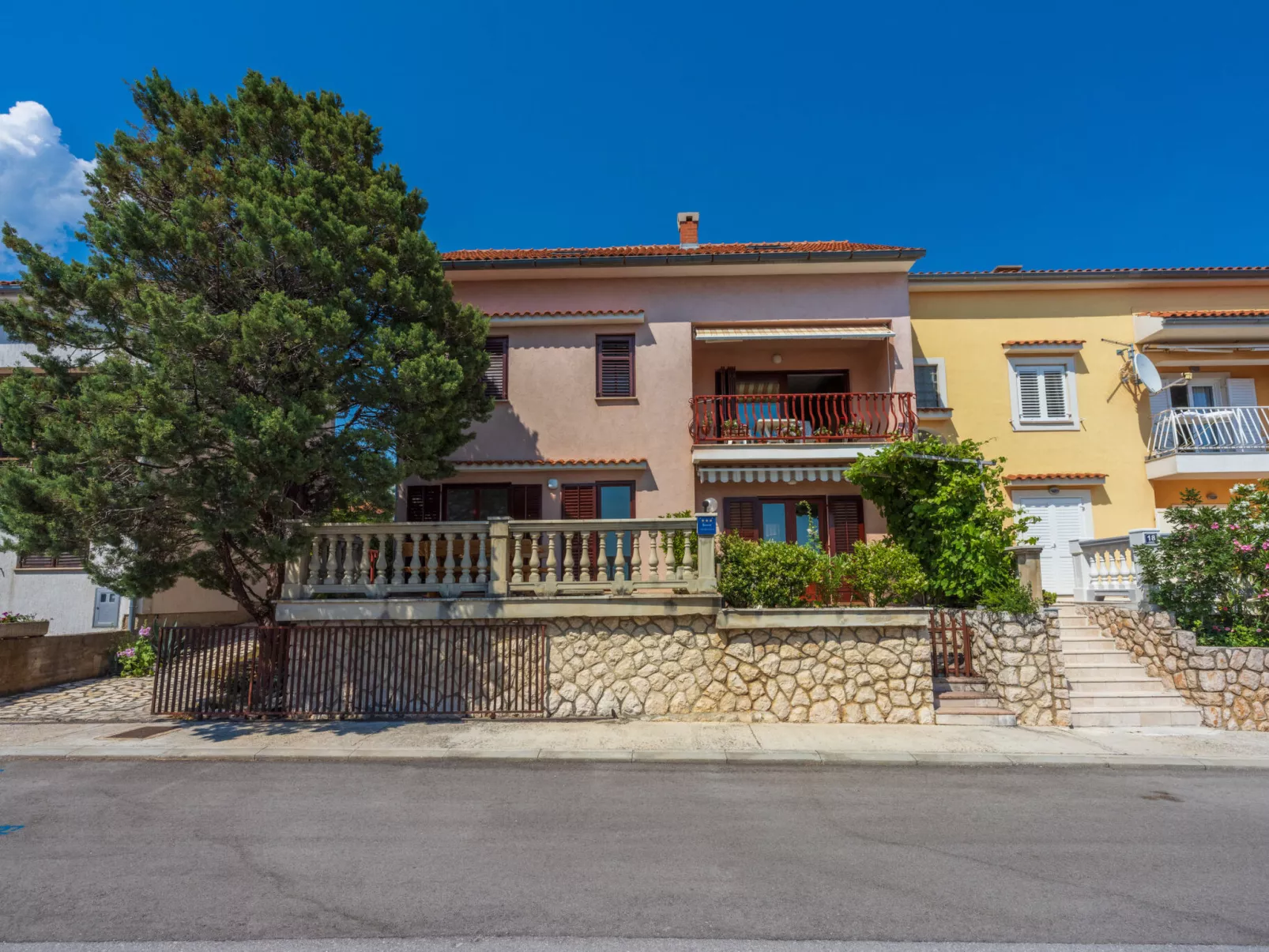 Agava veliki / HR-11139-02