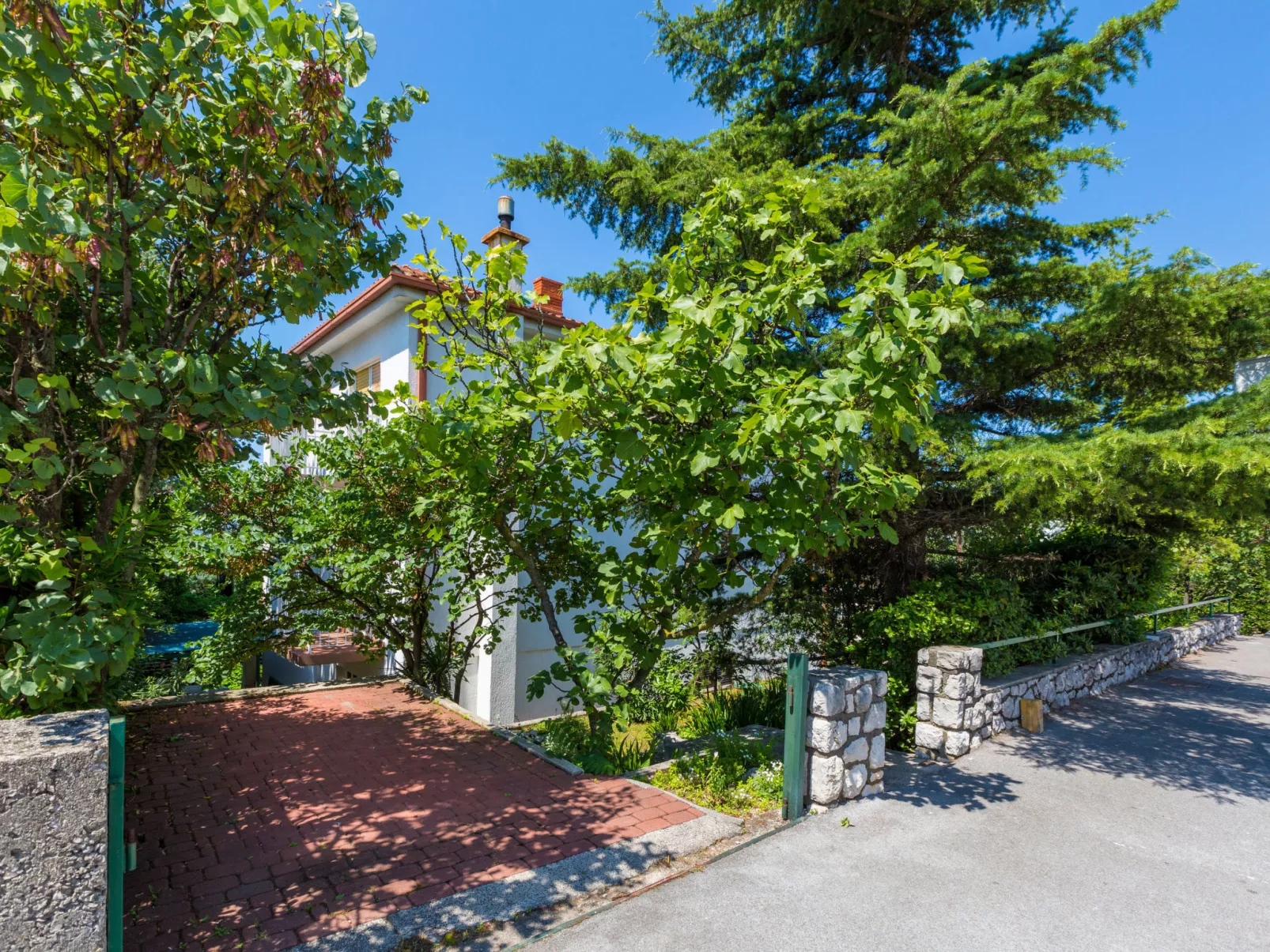 BELA 2 / HR-03564-02