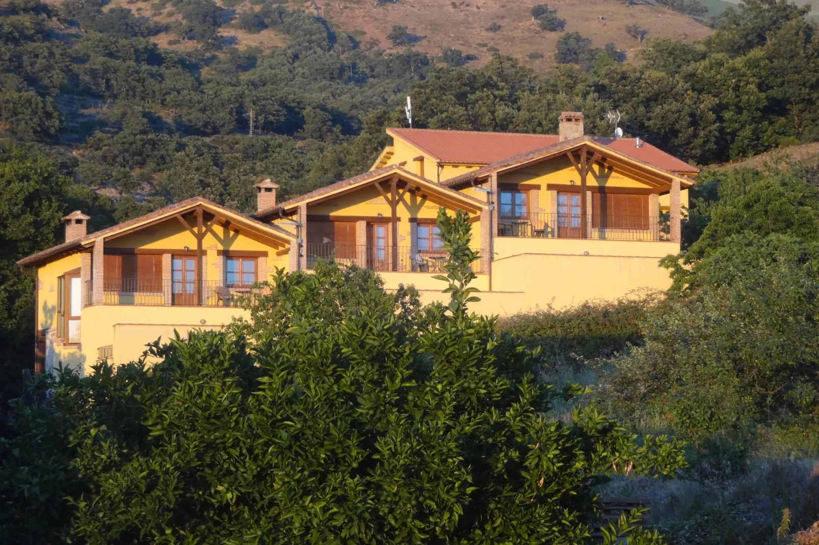 Casas Rurales Acebuche Picual