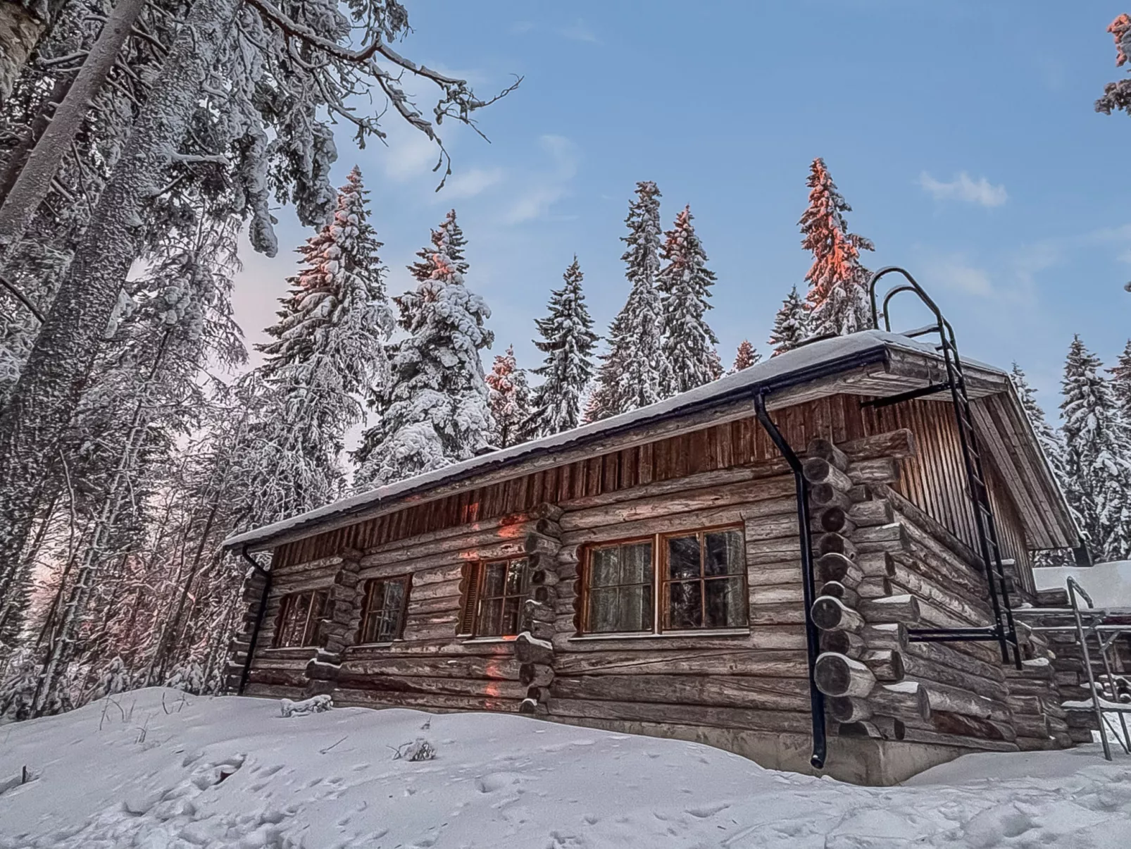 Vuokatinportti a7 susiportti - Binnen