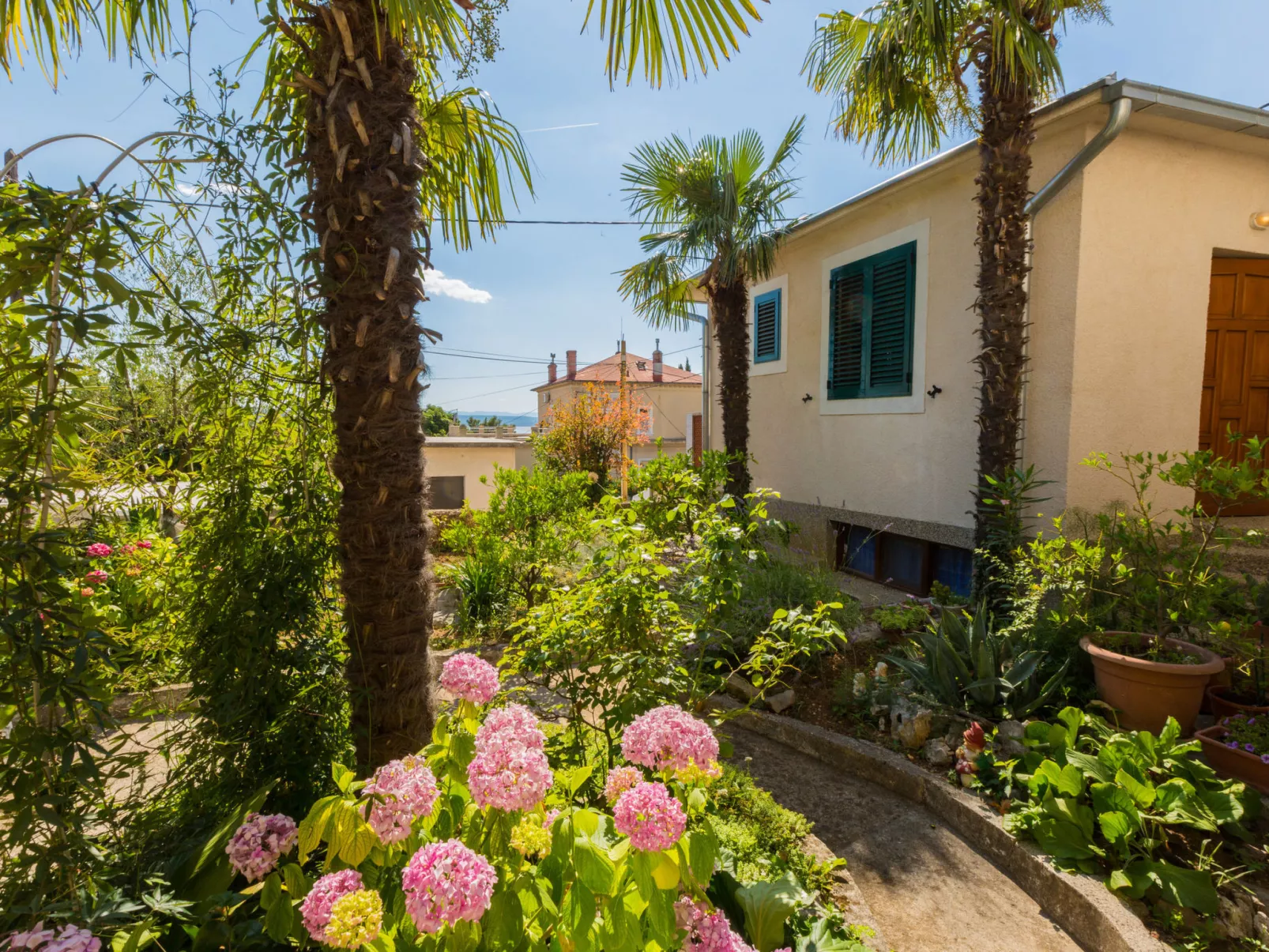 JELICIC C / HR-09765-01