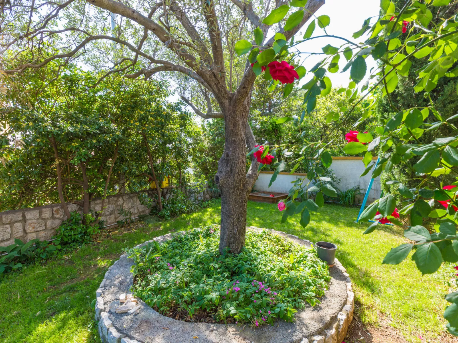 AKELAVA 1 / HR-05548-01