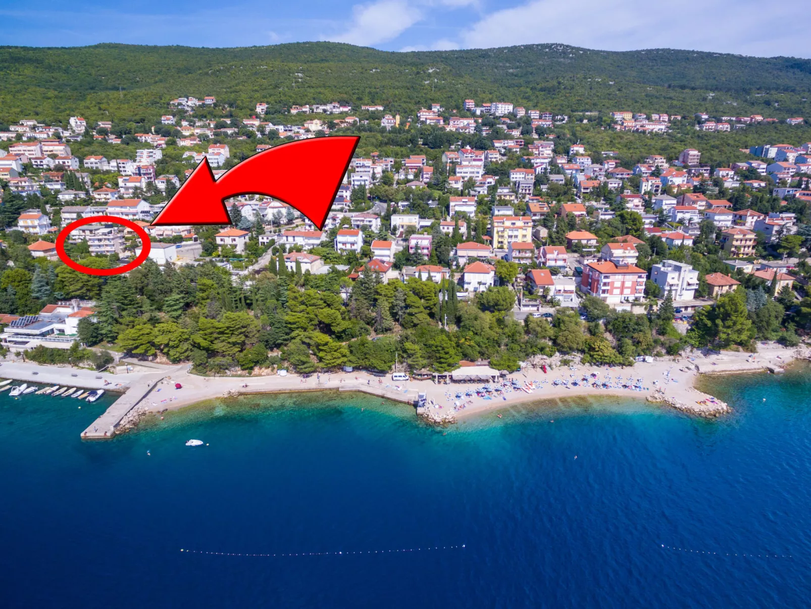 DOMINO Brown (12) / HR-09132-01