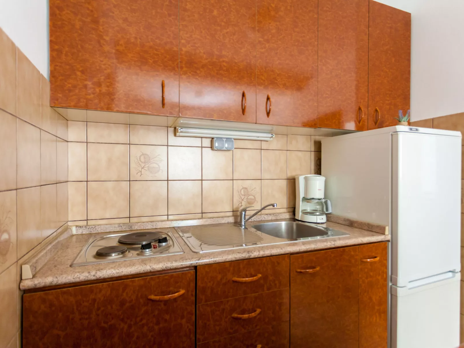 Apartment Belavic - 2