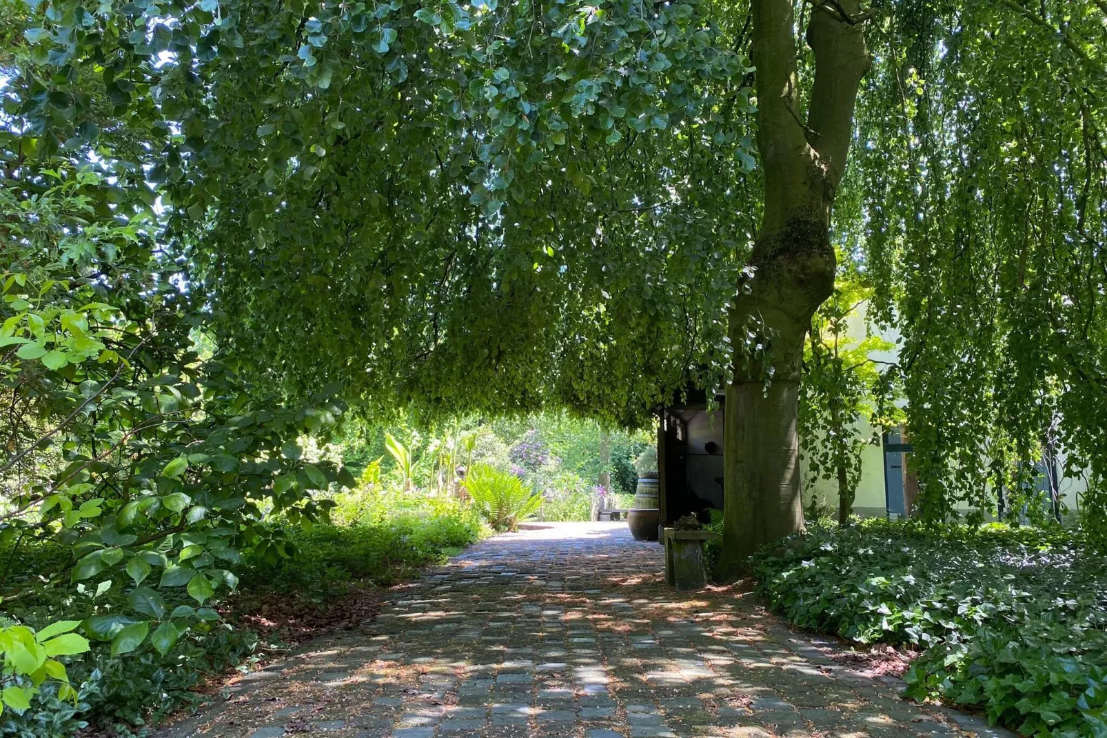 Dorpswoning Het Tolhuis-Tuinen zomer