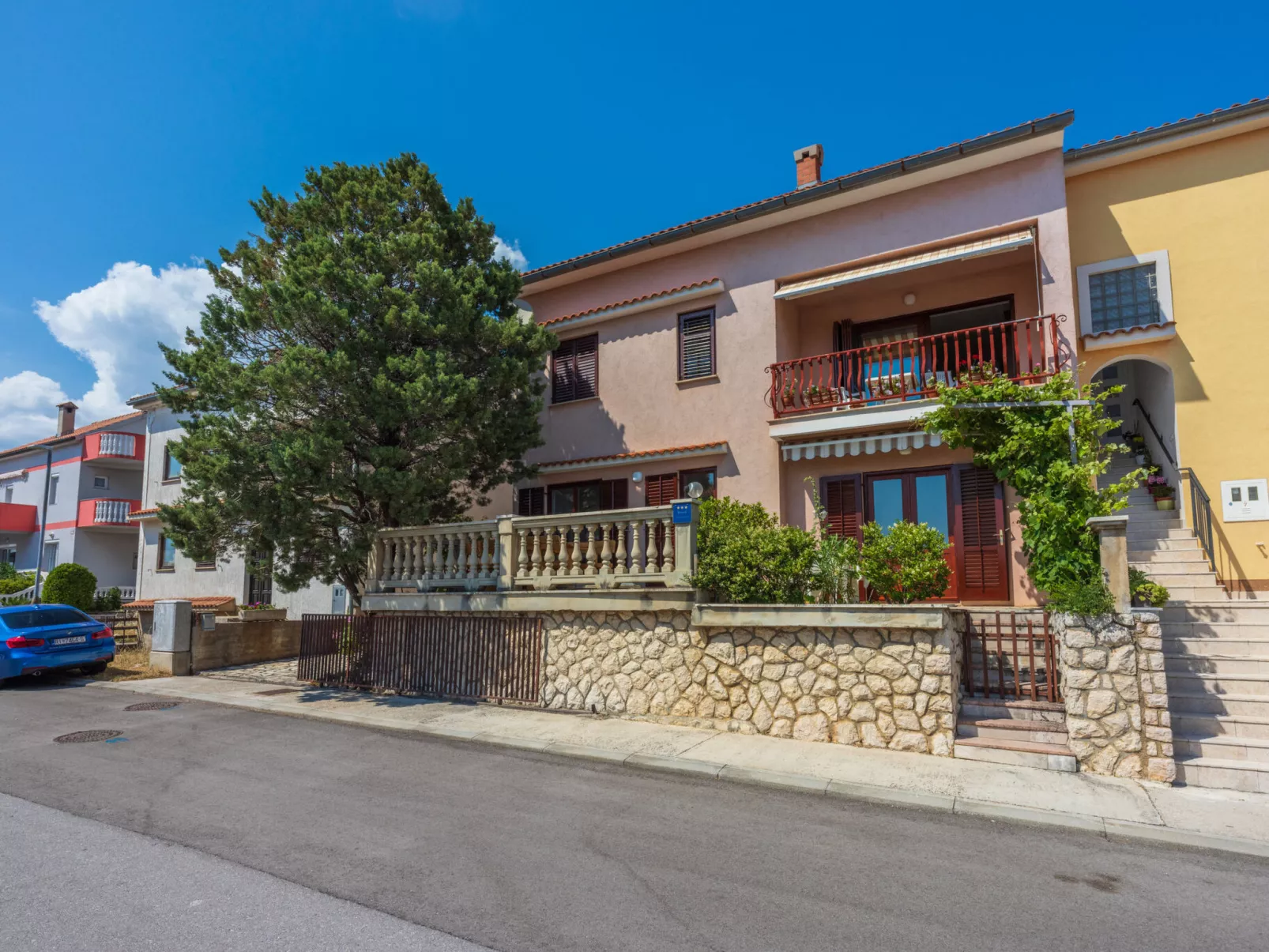 Agava veliki / HR-11139-02