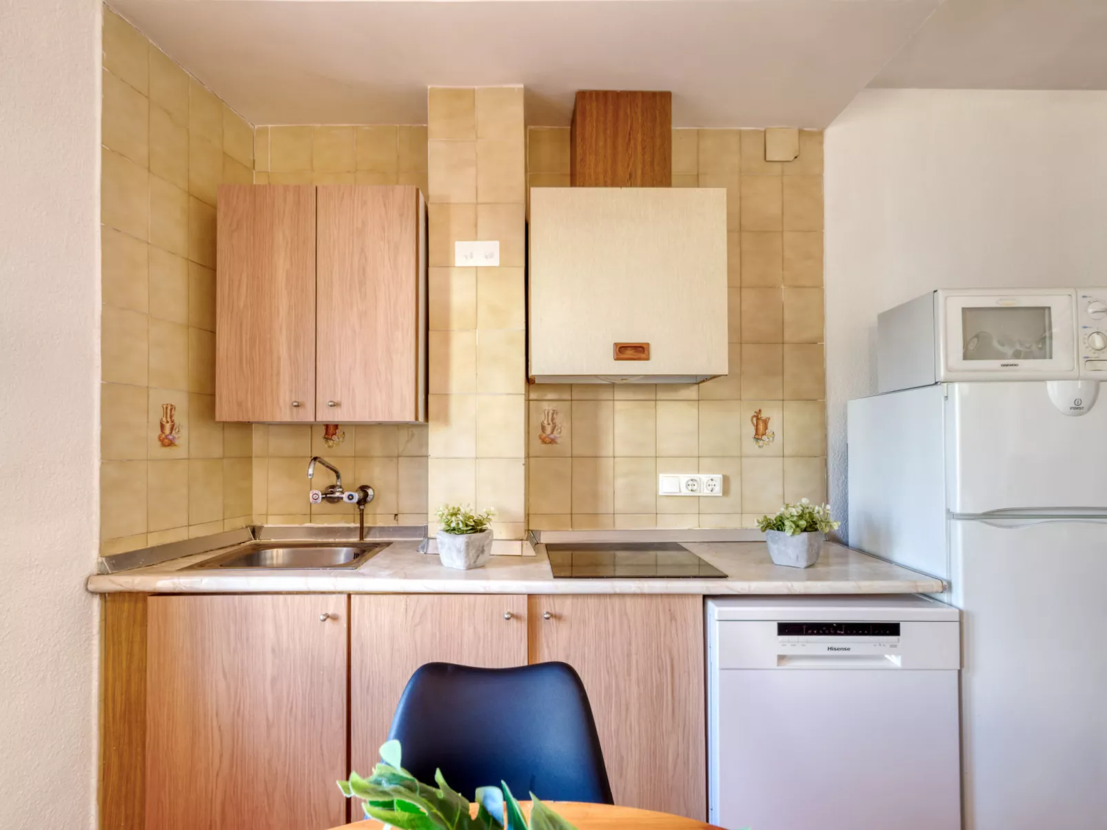 Centro peatonal Roses