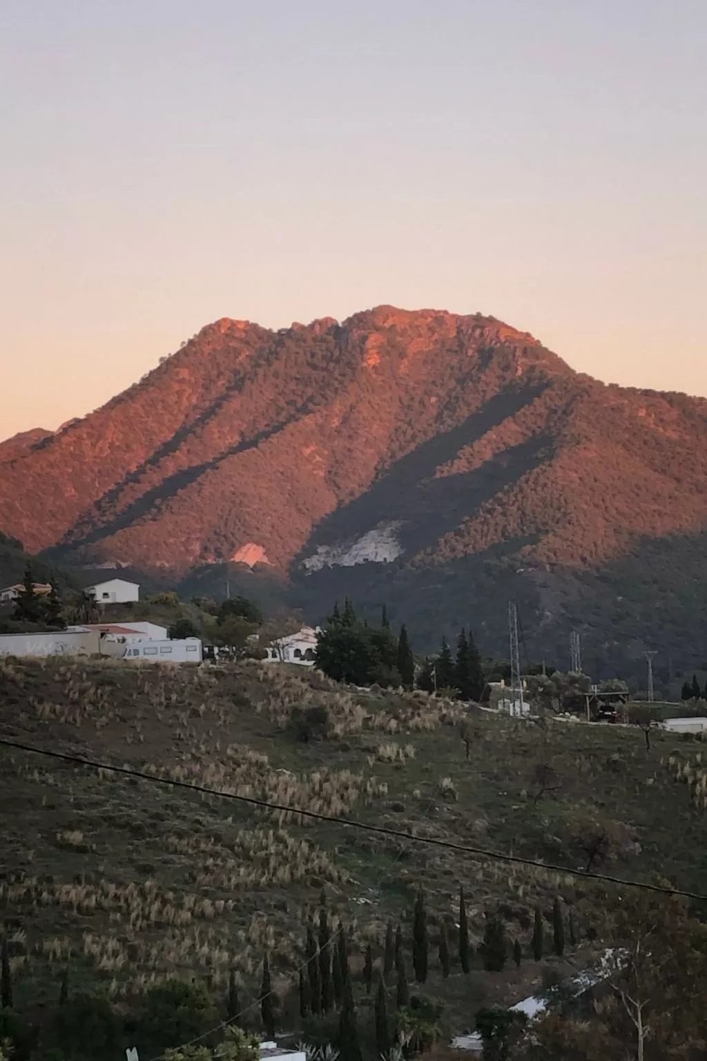 Finca "La Estrella de Cómpeta".