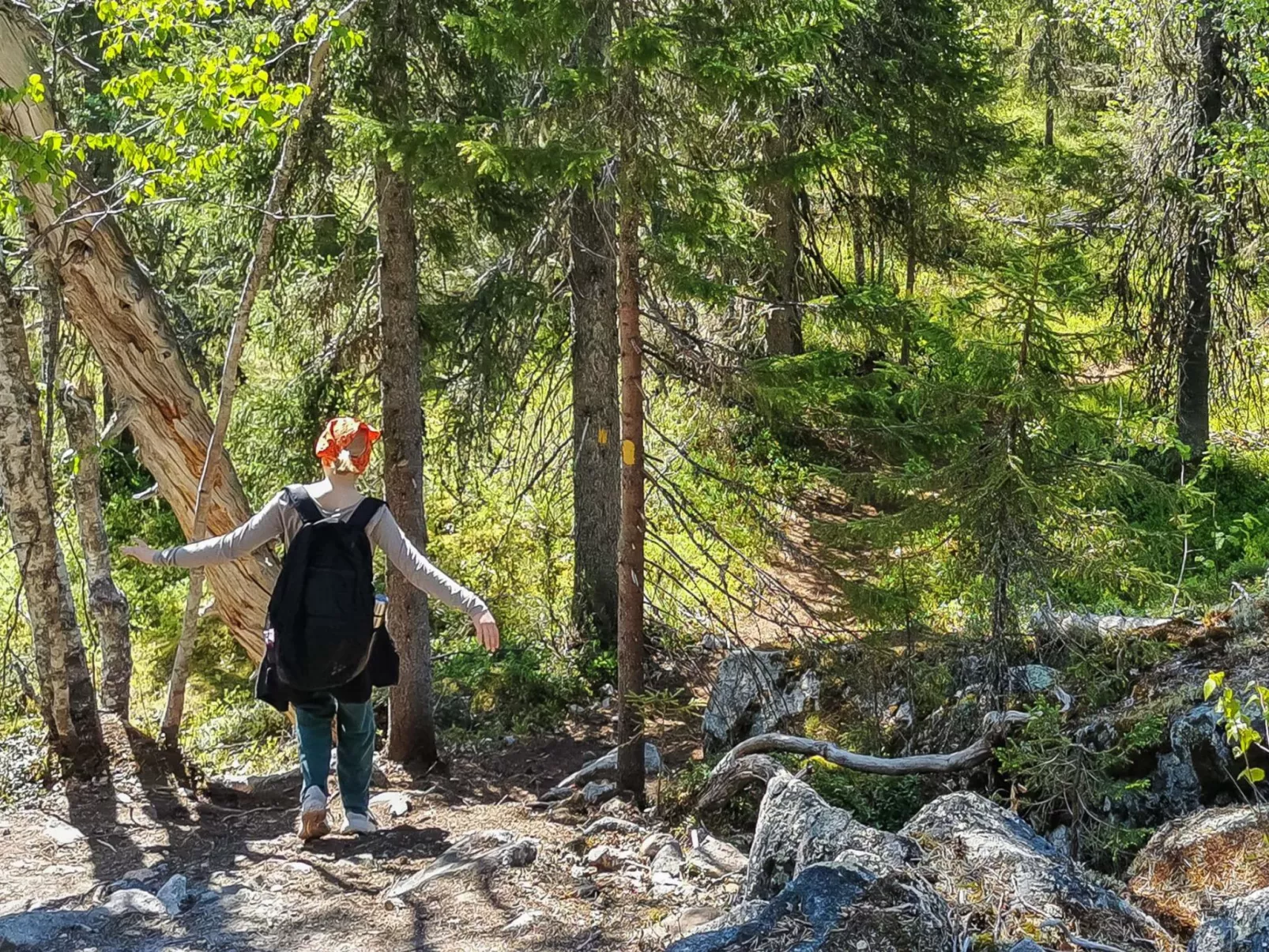 Vilkkuna 20 a - Binnen