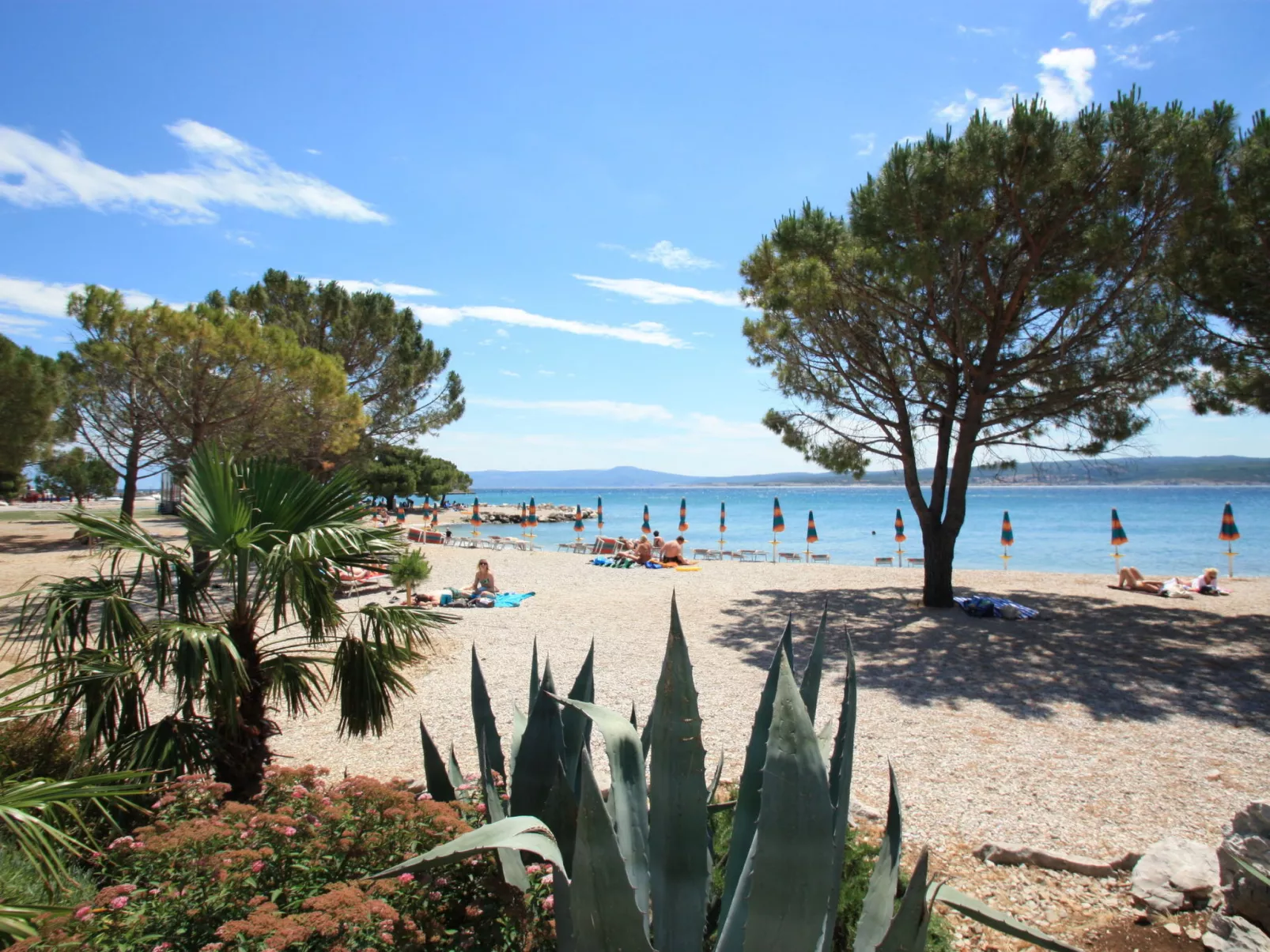 RUZICA / HR-10600-01