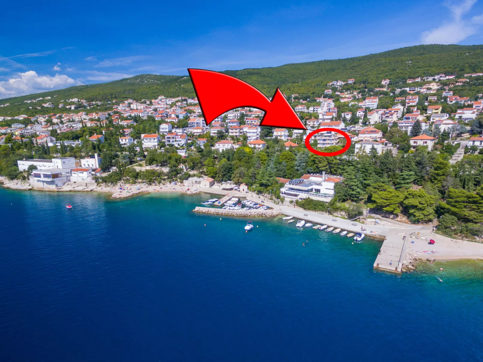 DOMINO Orange (8) / HR-09132-04