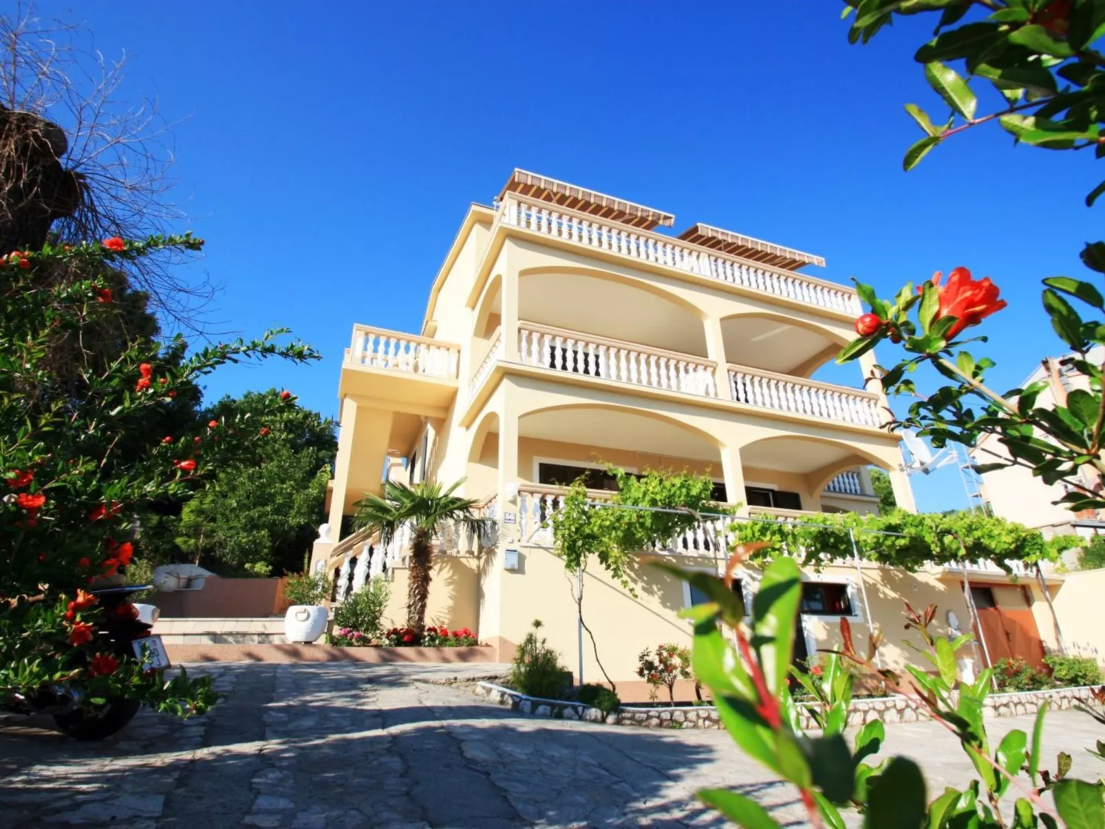 PAVICA 2 / HR-02417-02