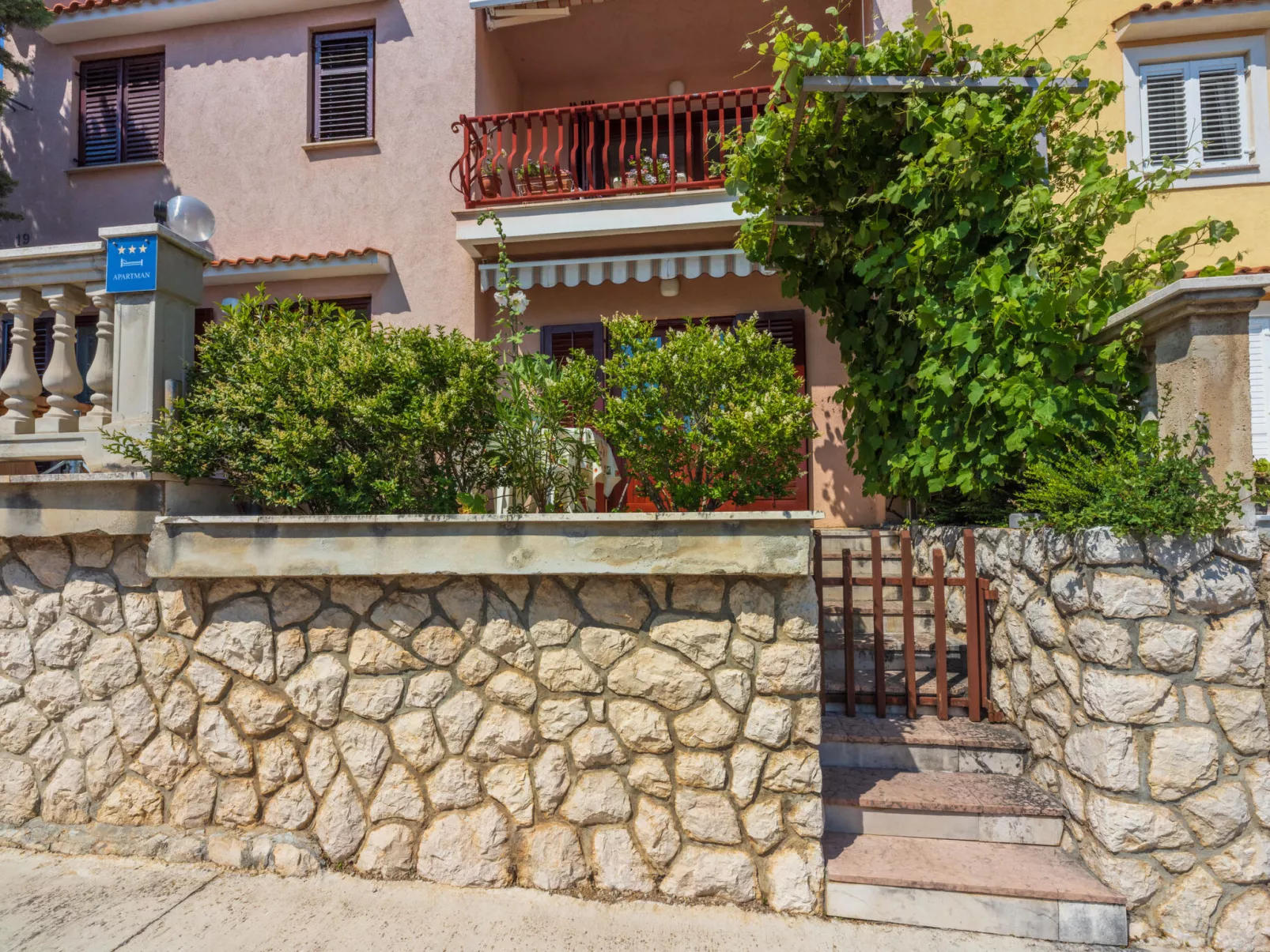 Agava veliki / HR-11139-02