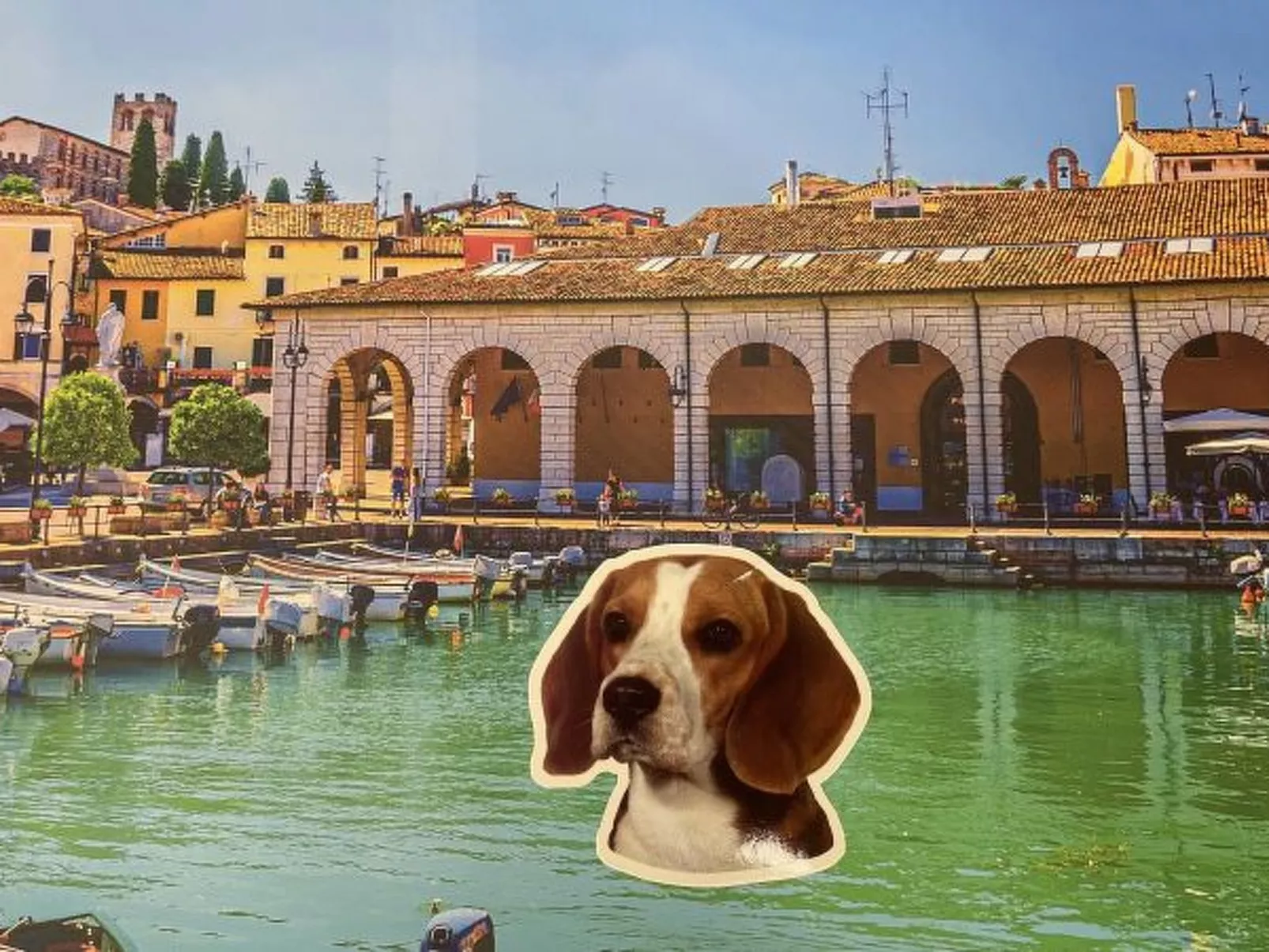 Desenzanoloft Smiling