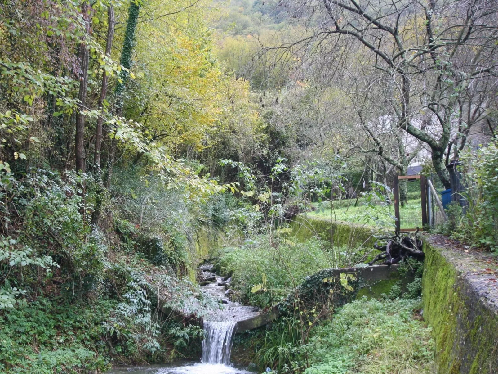 Für 3 Personen ca. 37 m&sup2- in Lumarzo, Norditalien (Ligurien)