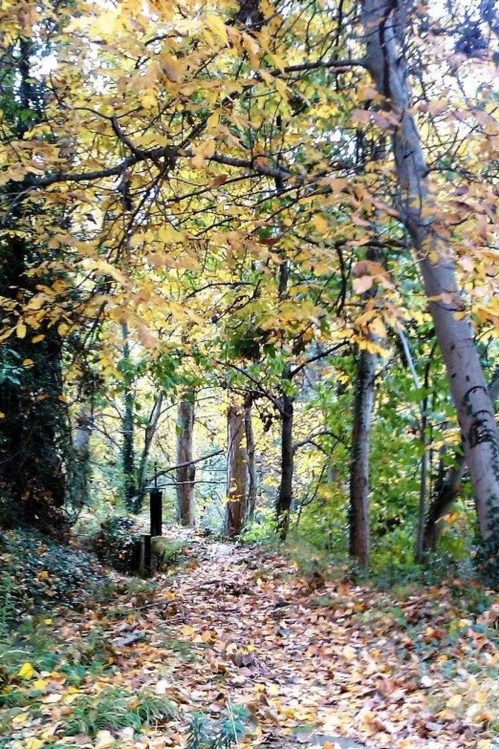 Ländliches Haus Médulas 2. für 4 PAX belegbar