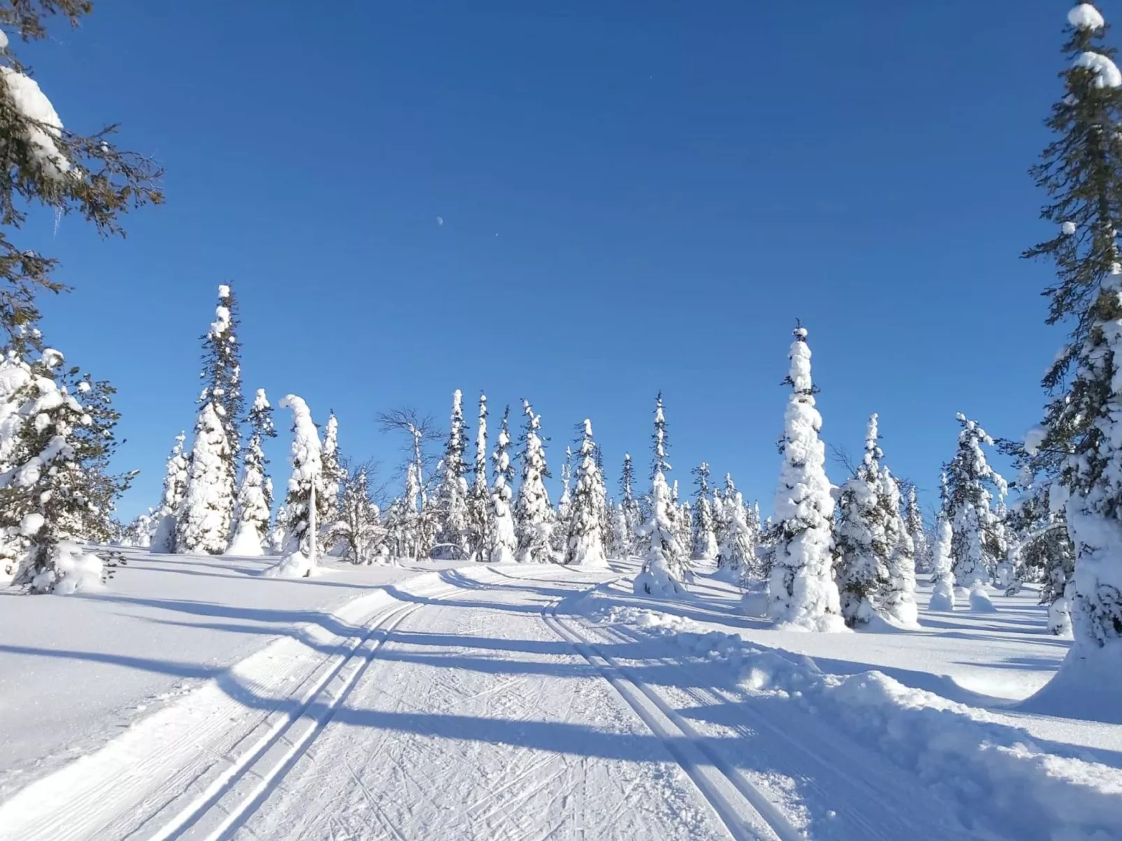 Örtsylä b - Binnen