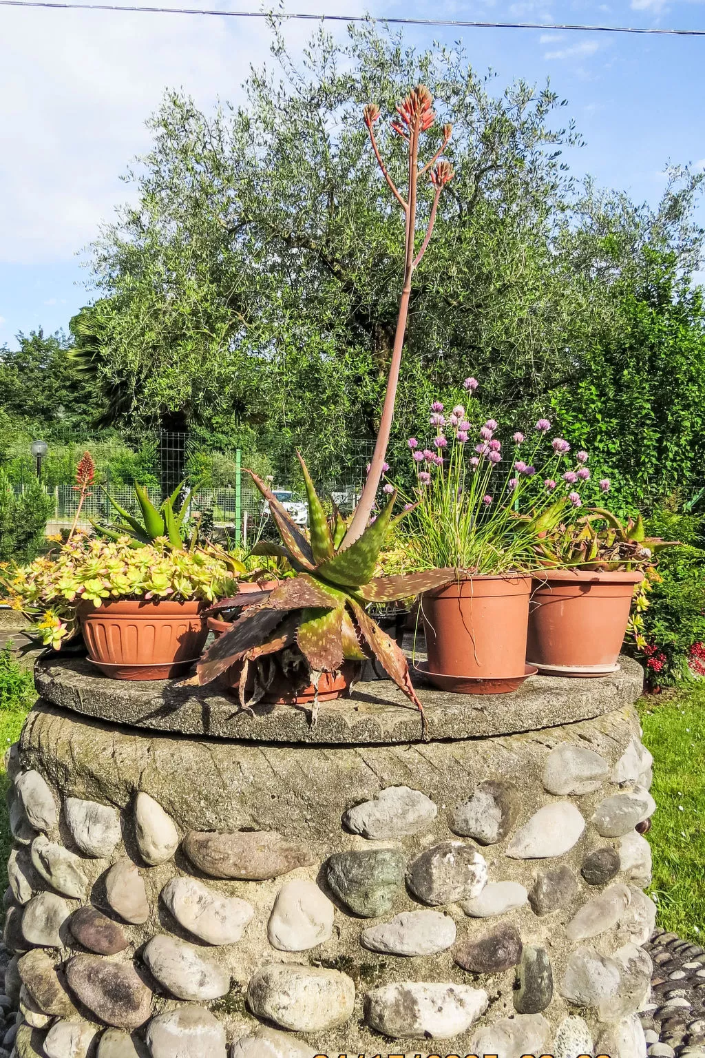 Villa im Grünen in Riva del Garda mit Terrasse - Buiten