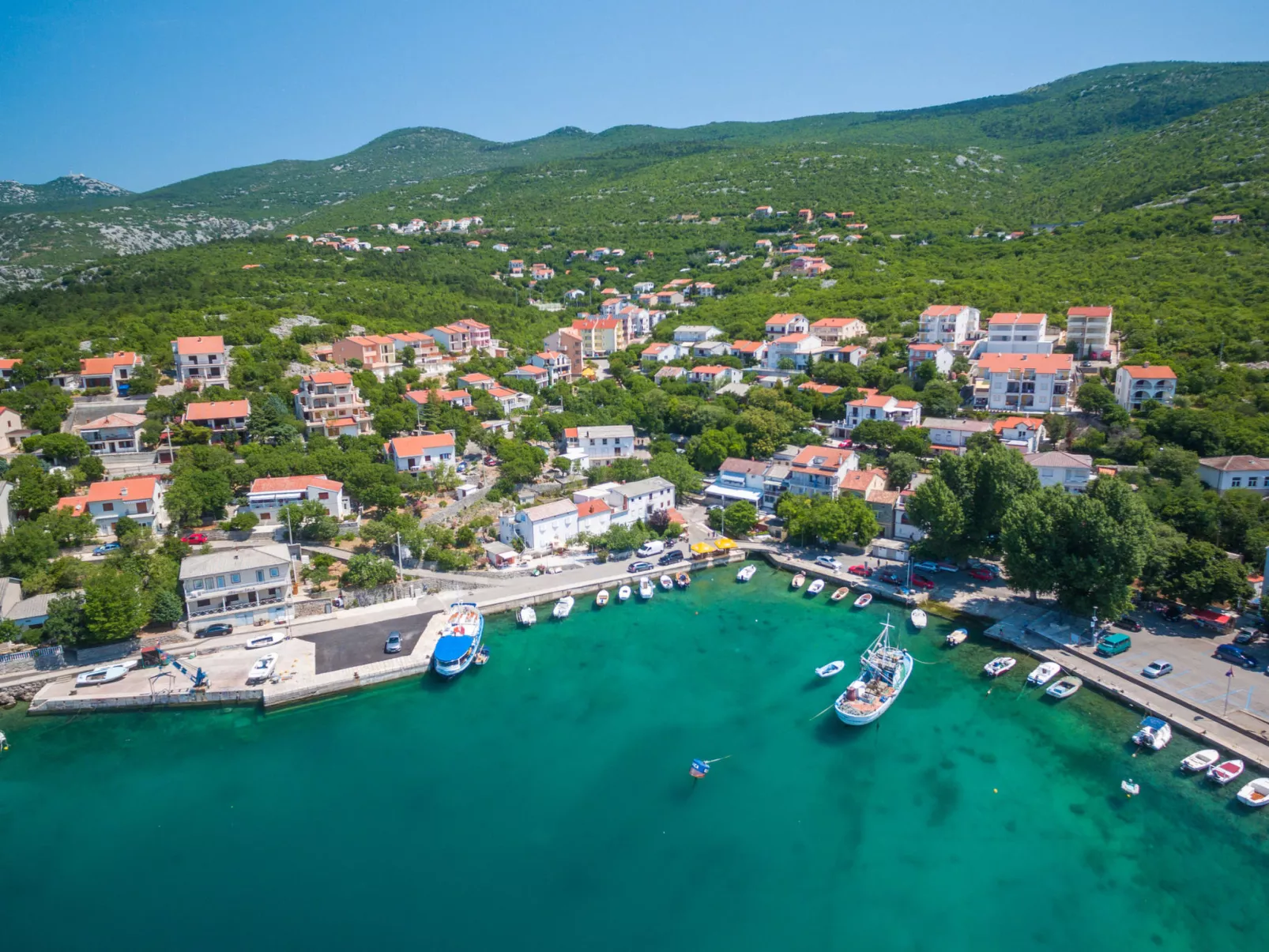 Cosic 2 Black & White / HR-09707-02